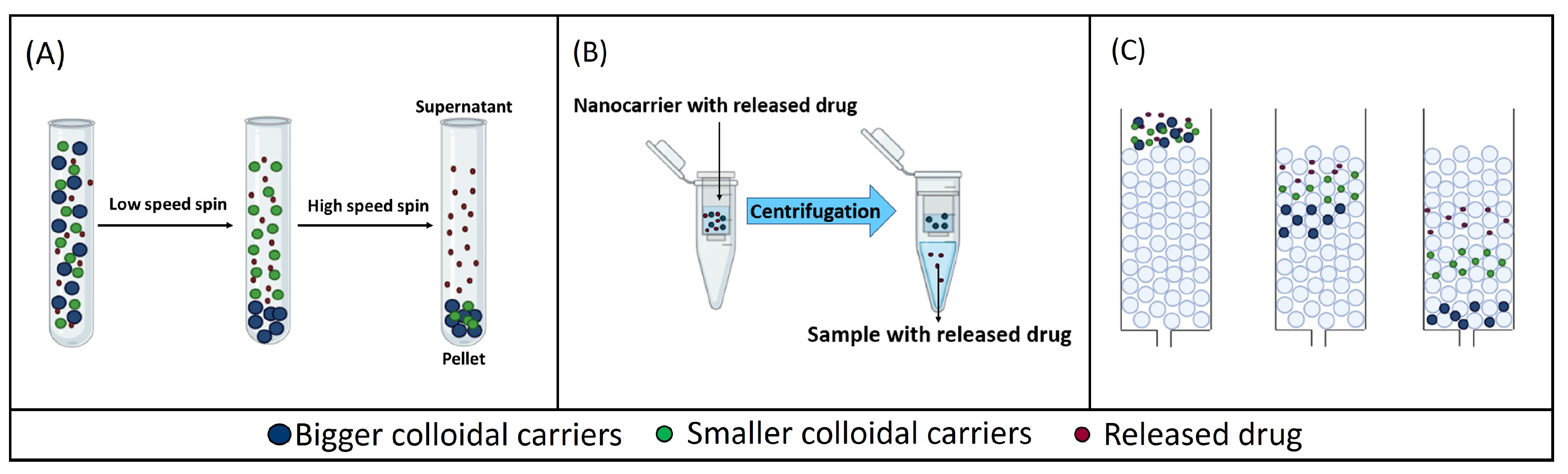 Pharmaceutics 16 00103 g001