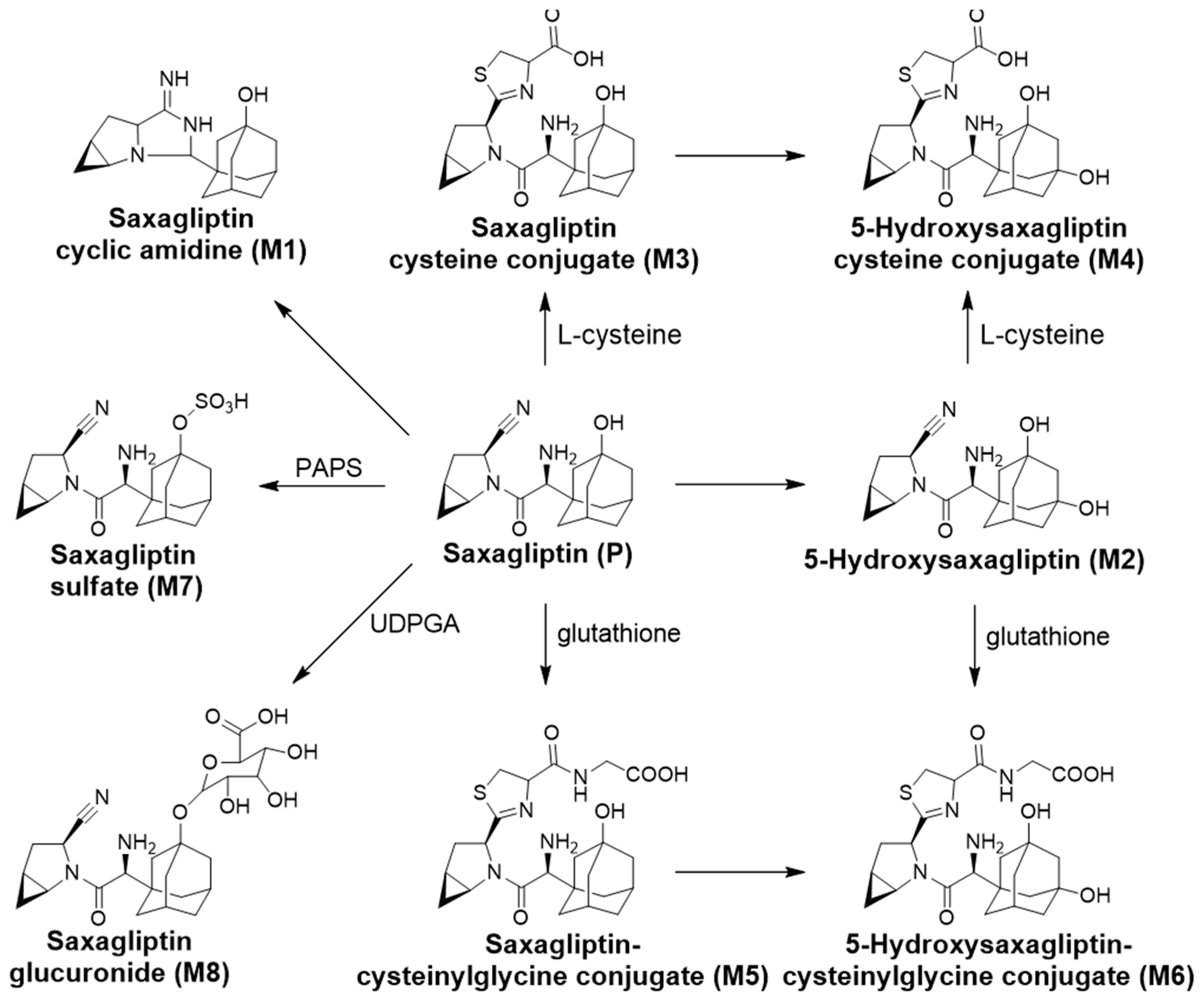 Pharmaceutics 16 00106 g009