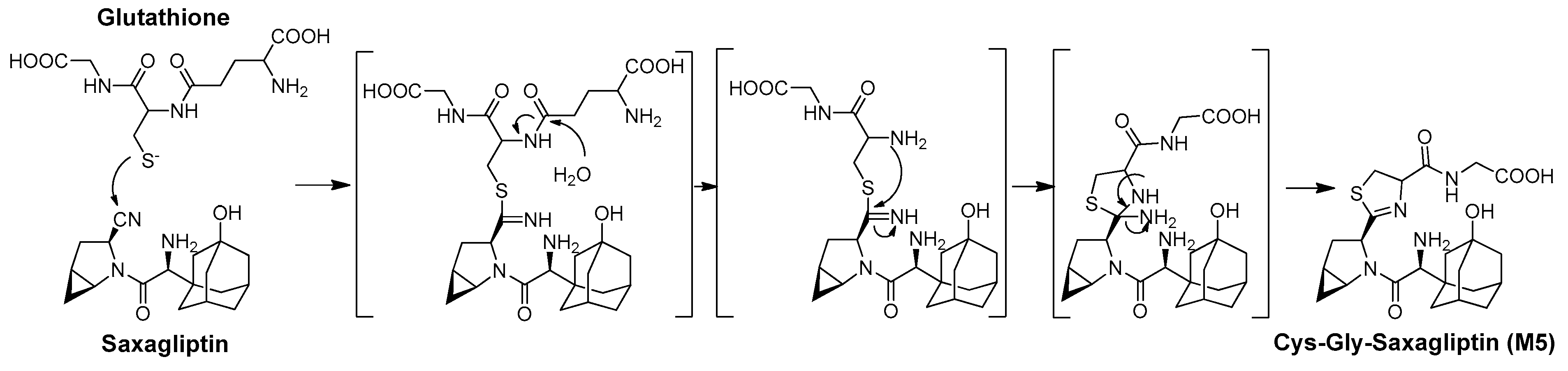 Pharmaceutics 16 00106 g010