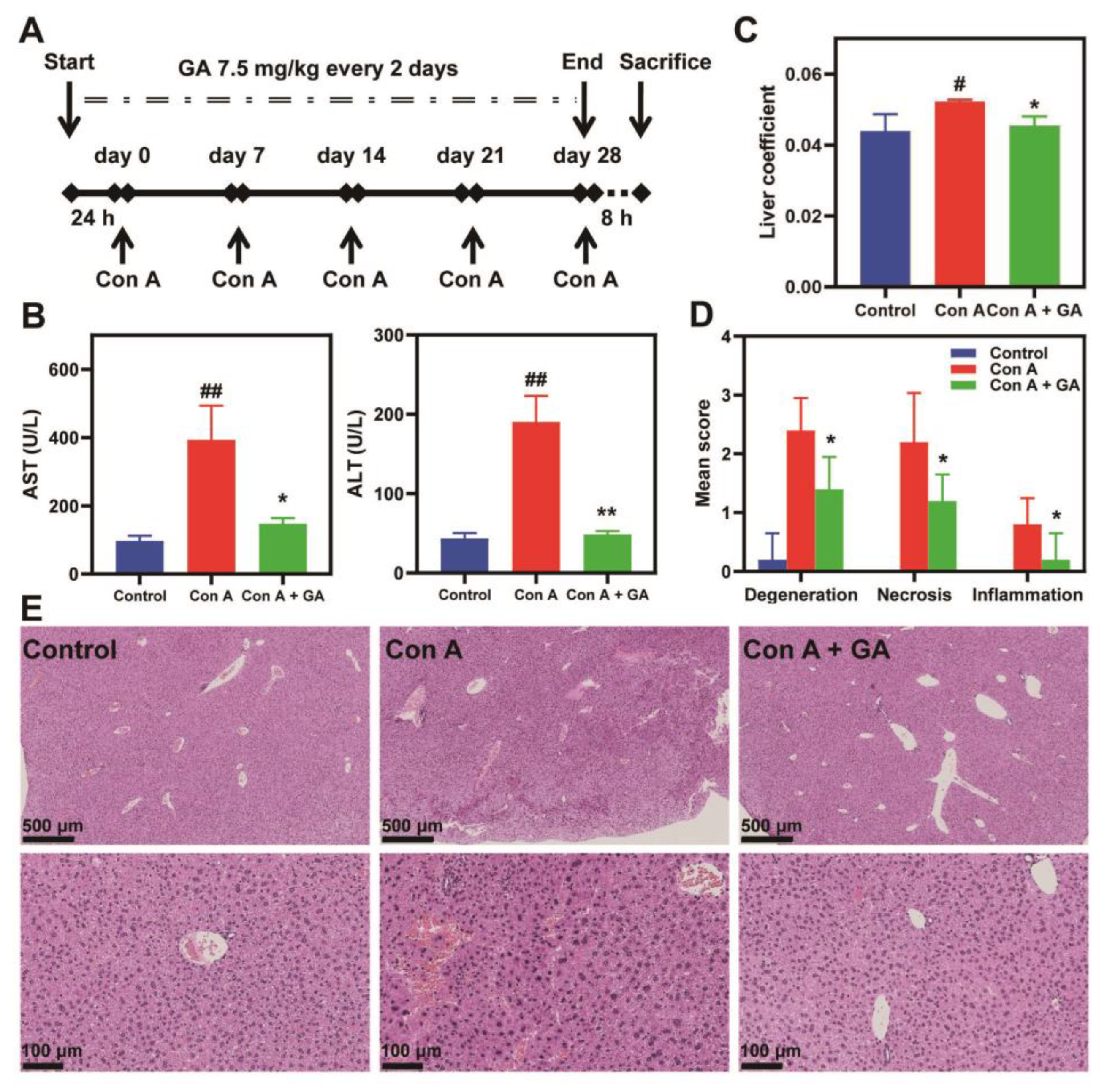 Pharmaceutics 16 00110 g001