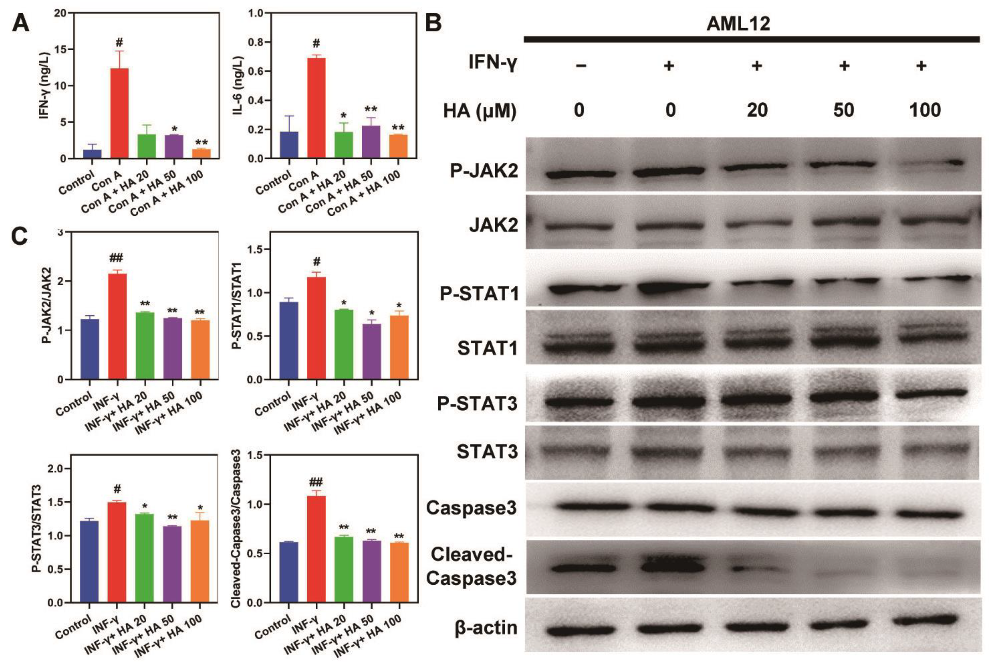 Pharmaceutics 16 00110 g005
