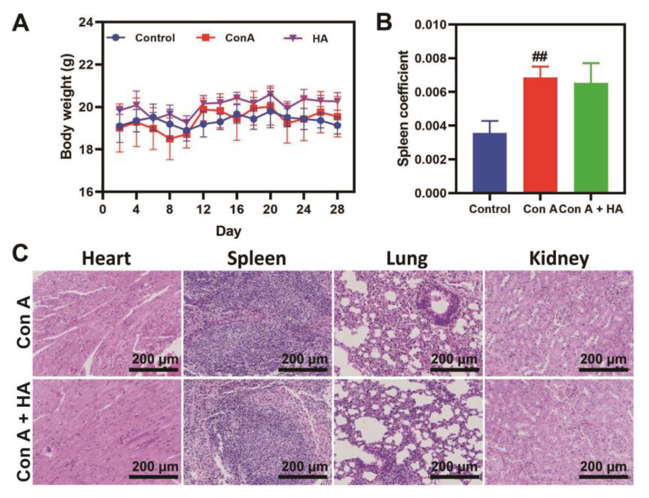 Pharmaceutics 16 00110 g007