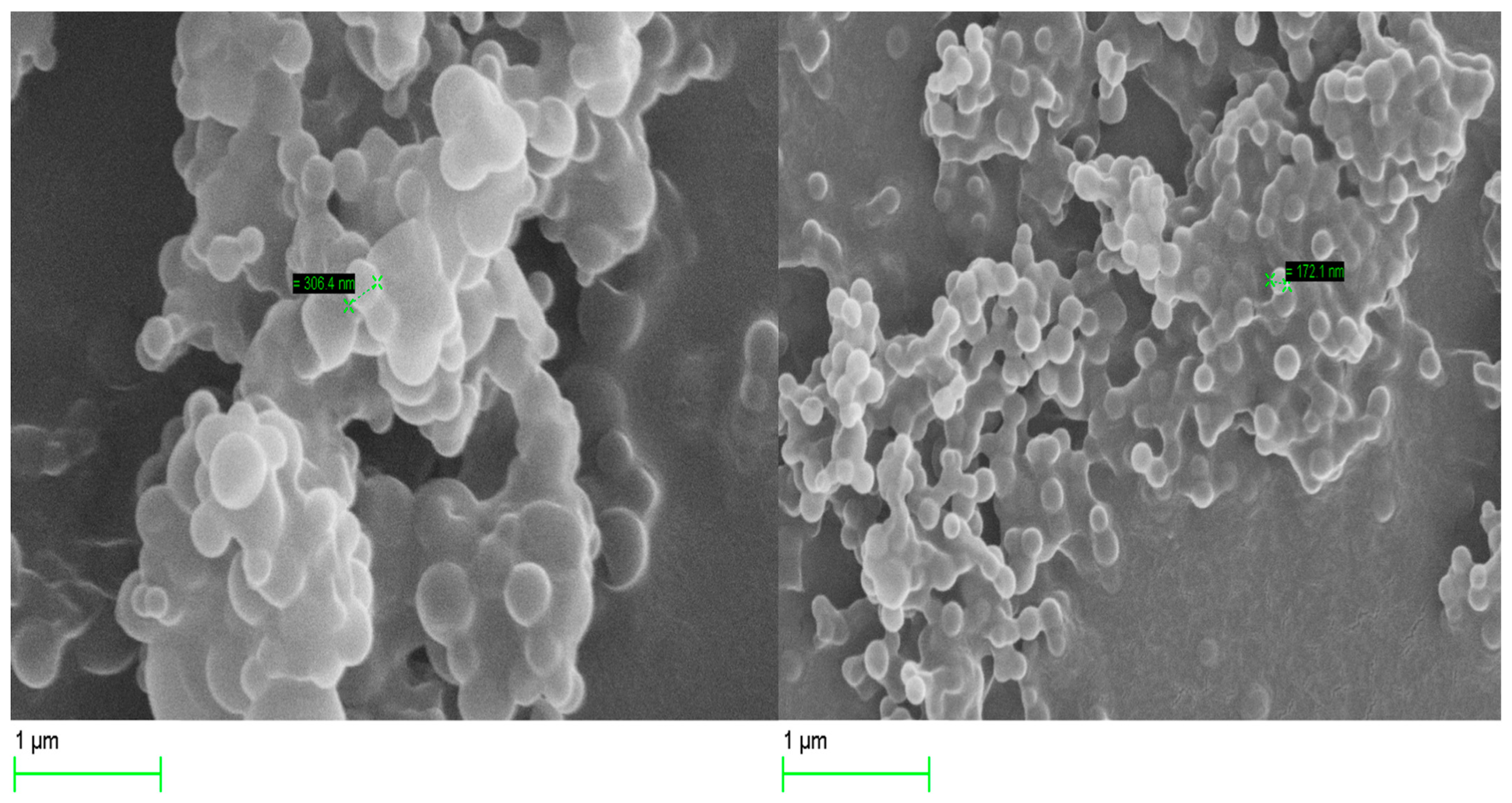 Pharmaceutics 16 00112 g004