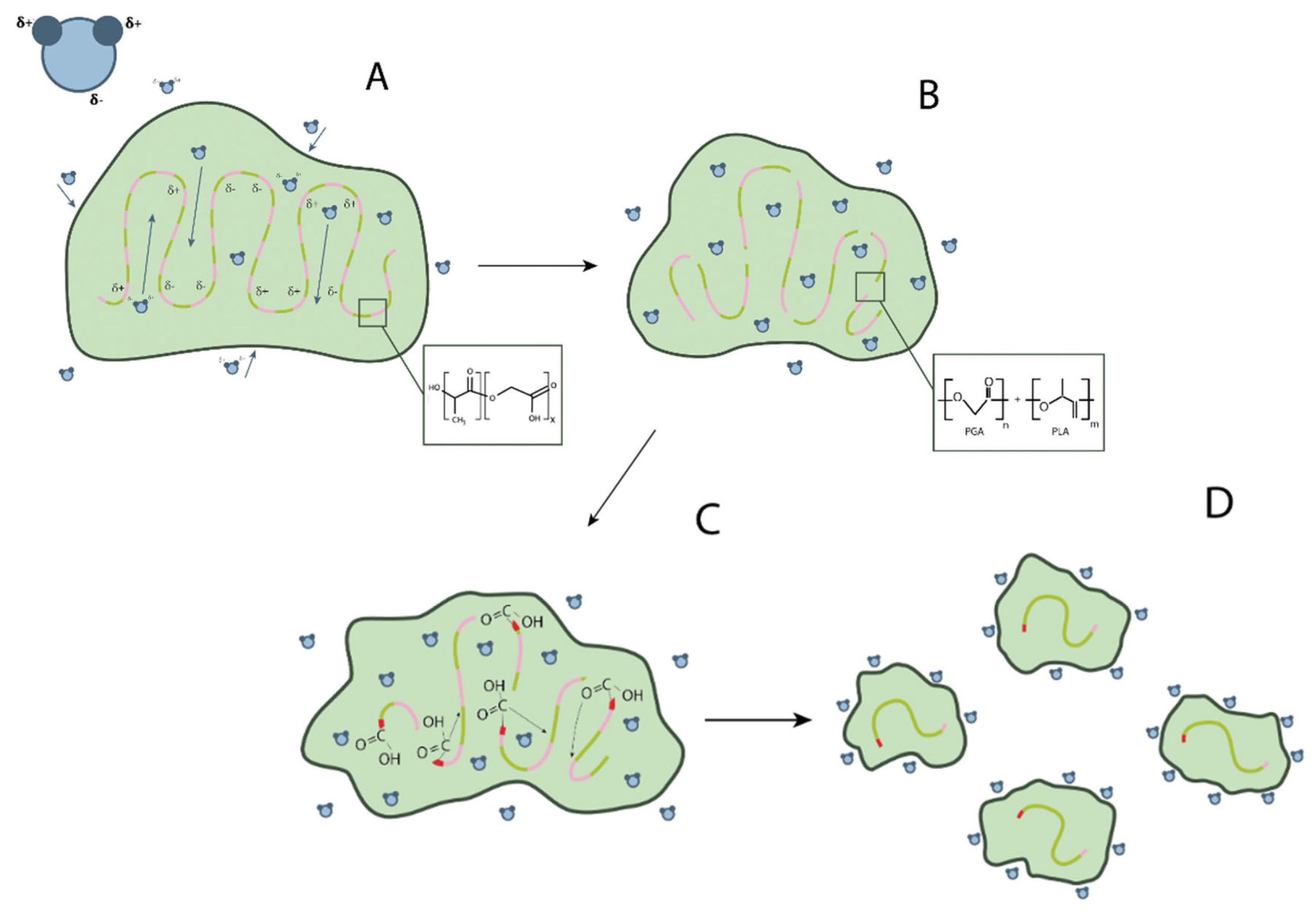 Pharmaceutics 16 00115 g002 Pharmaceutics 16 00115 g002