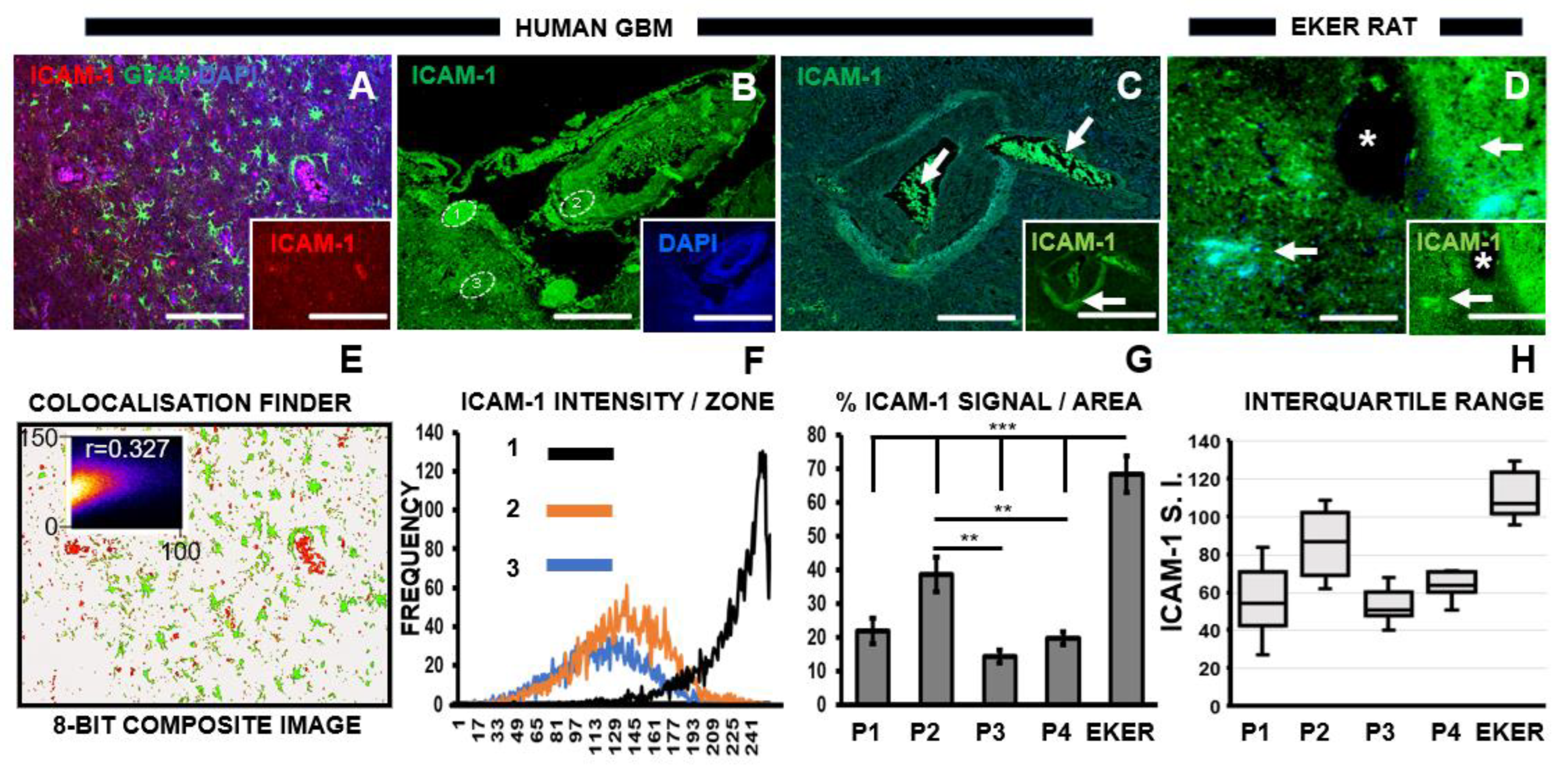 Pharmaceutics 16 00123 g003