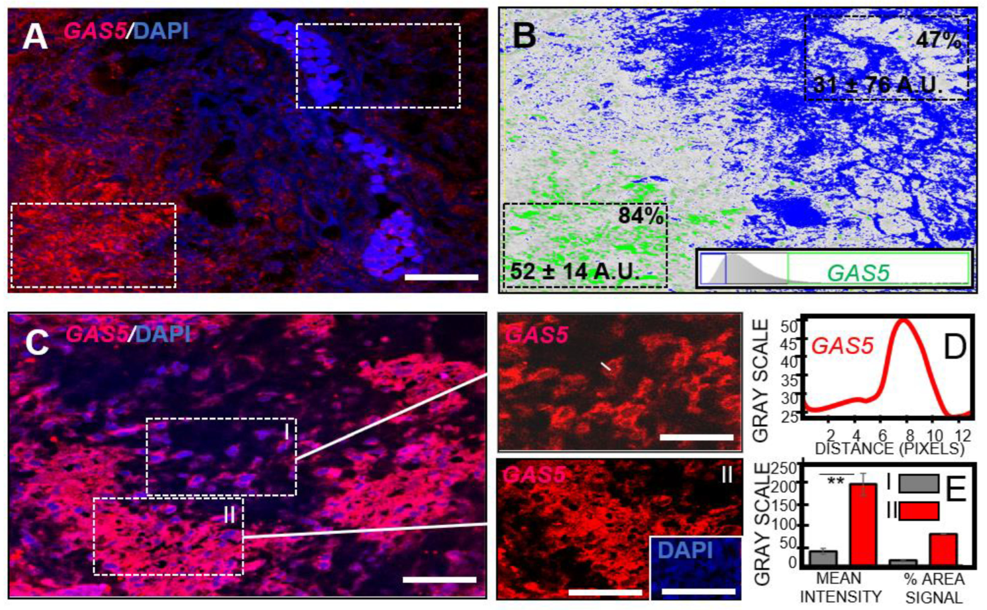 Pharmaceutics 16 00123 g005