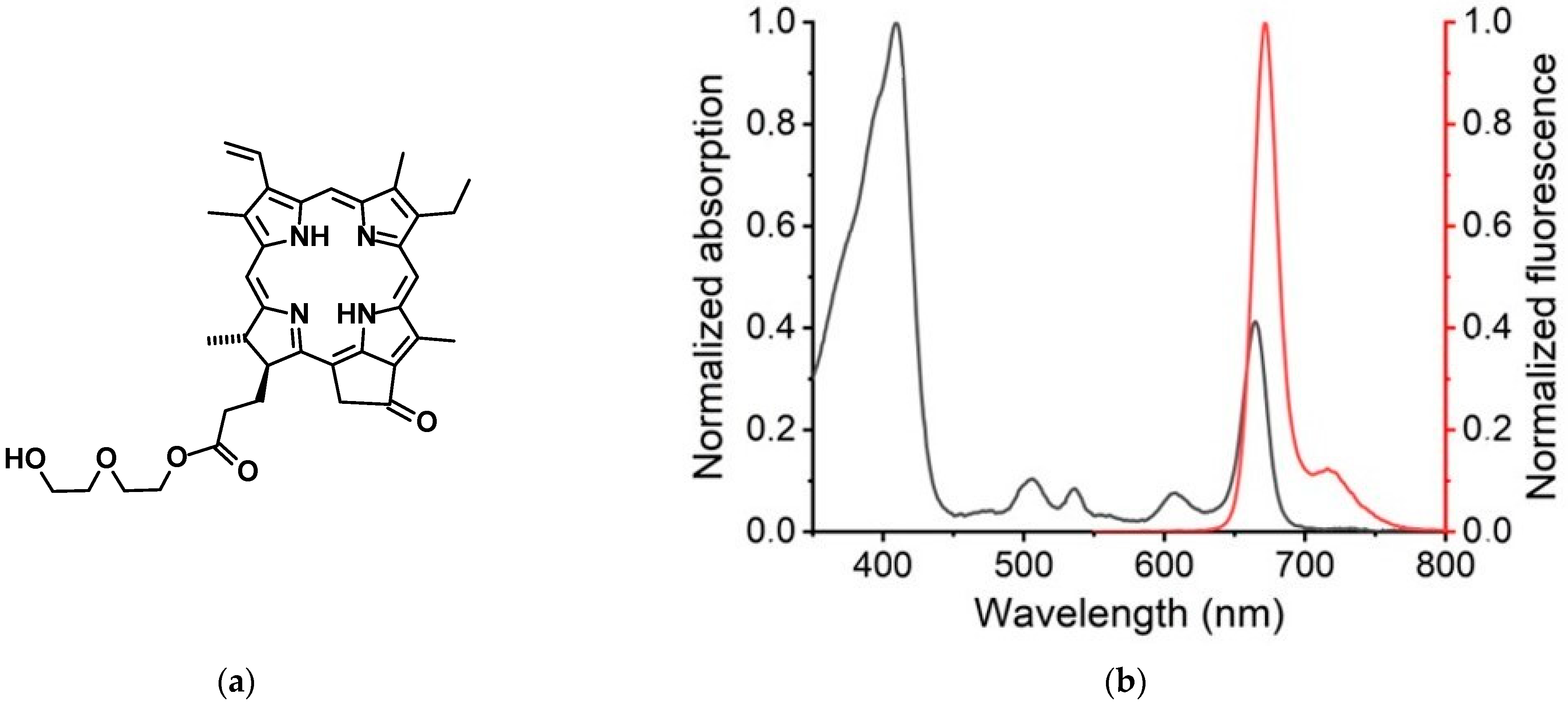 Pharmaceutics 16 00126 g001a Pharmaceutics 16 00126 g001a