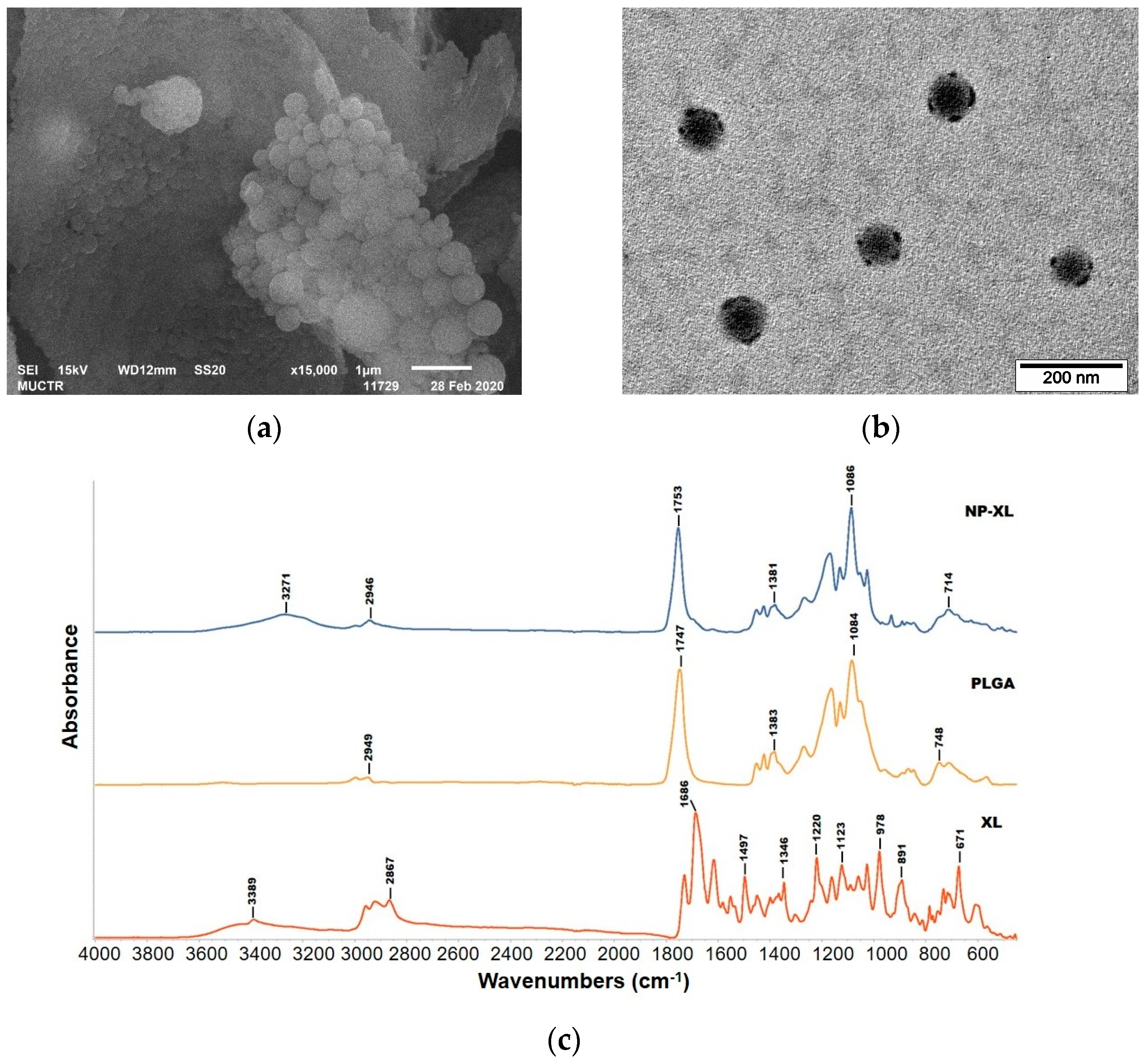 Pharmaceutics 16 00126 g004a Pharmaceutics 16 00126 g004a