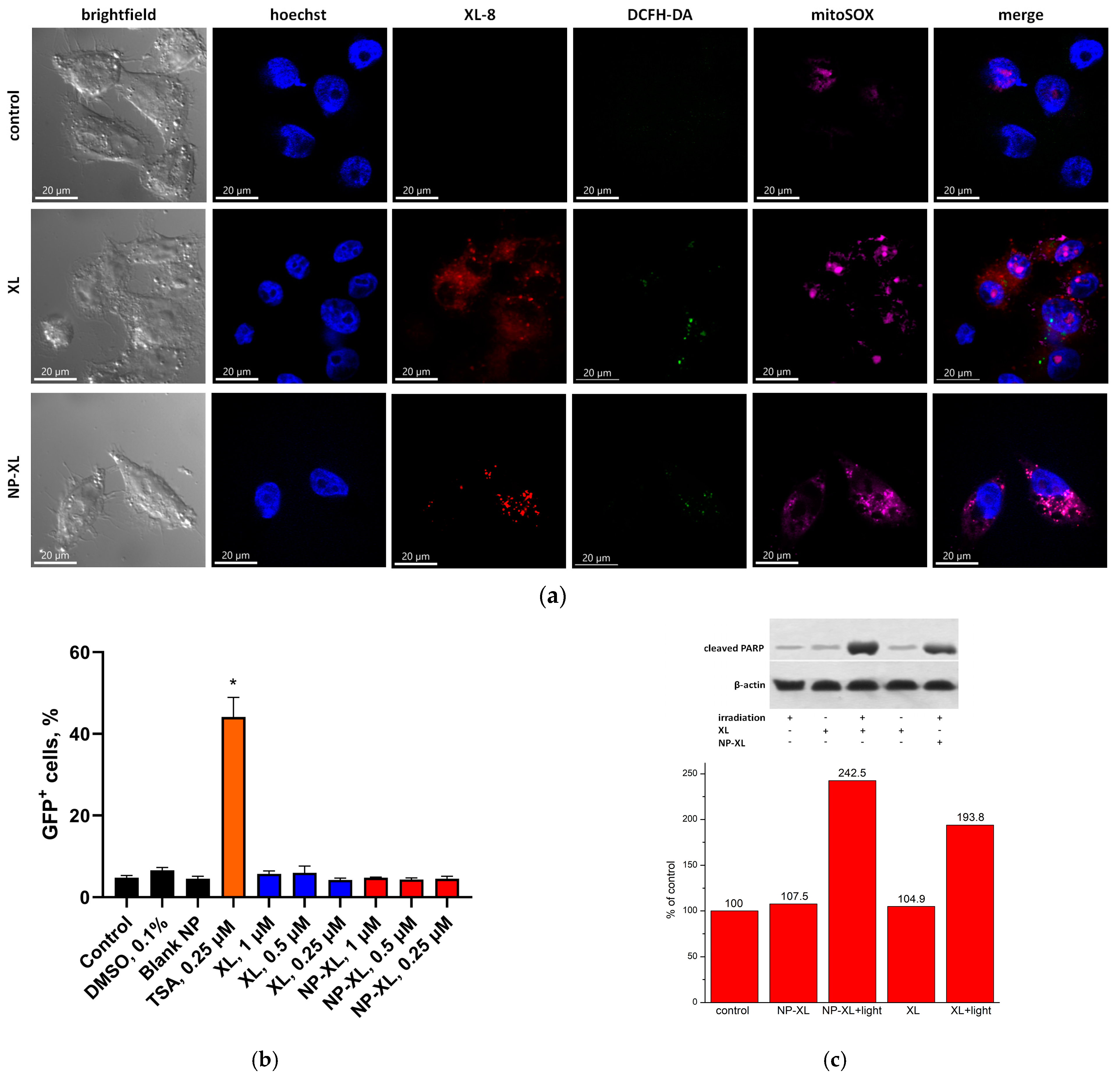 Pharmaceutics 16 00126 g008 Pharmaceutics 16 00126 g008