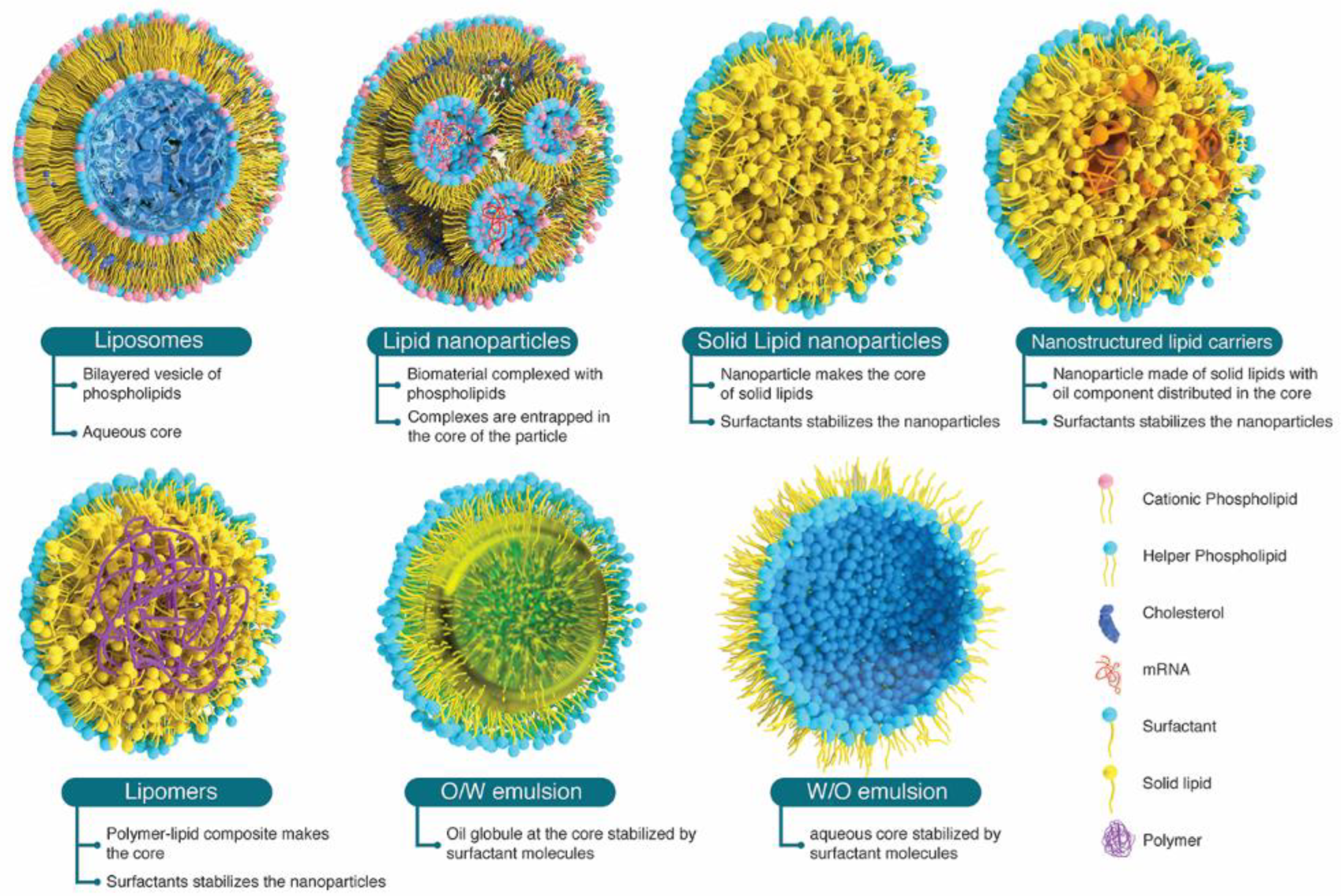 Pharmaceutics 16 00131 g002 Pharmaceutics 16 00131 g002