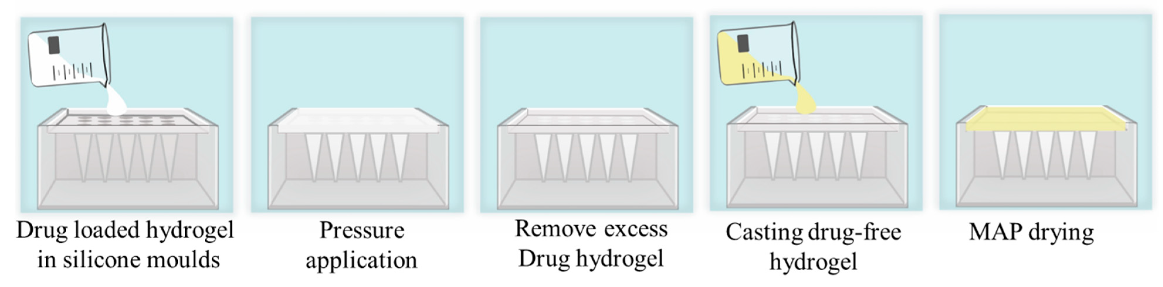Pharmaceutics 16 00142 g002