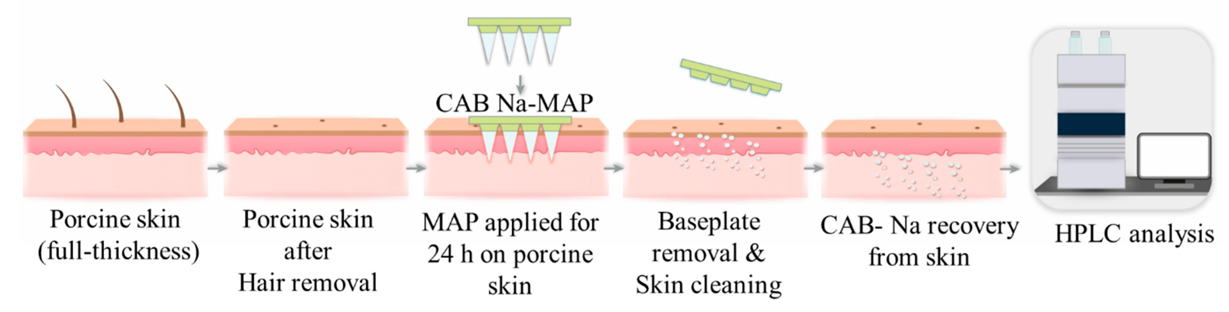 Pharmaceutics 16 00142 g003