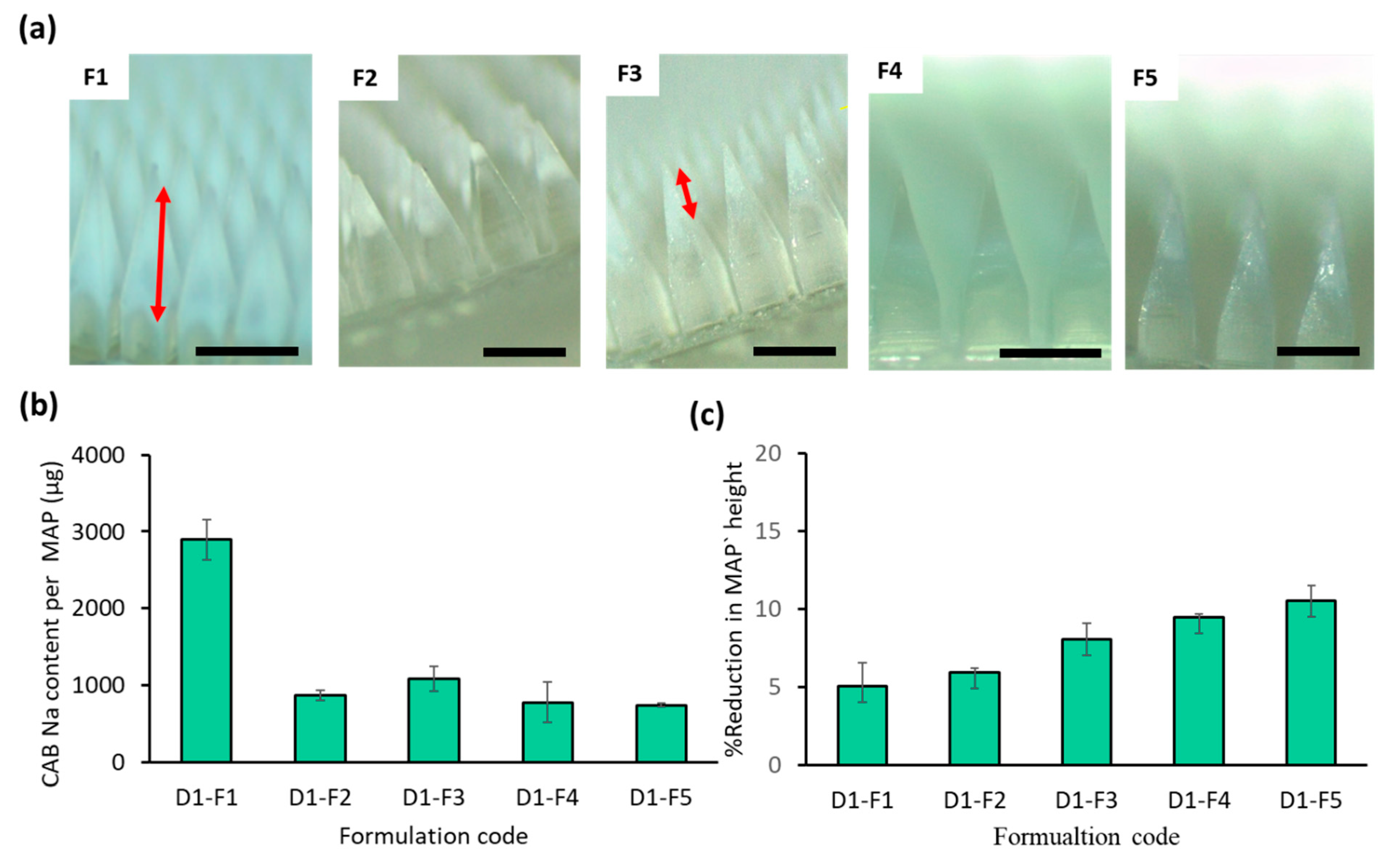 Pharmaceutics 16 00142 g005