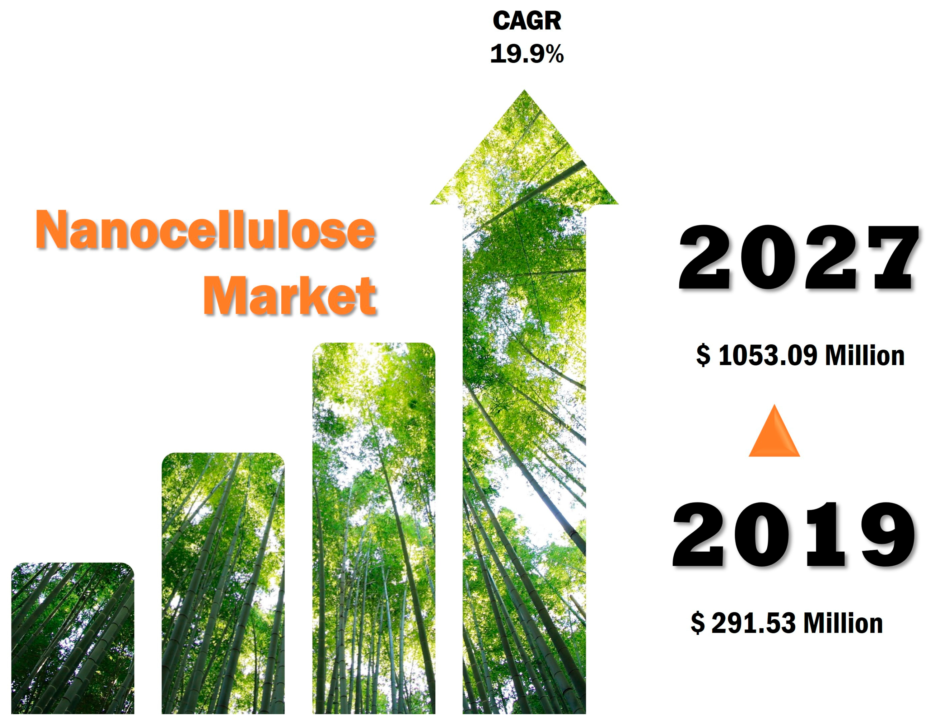 Pharmaceutics 16 00145 g002