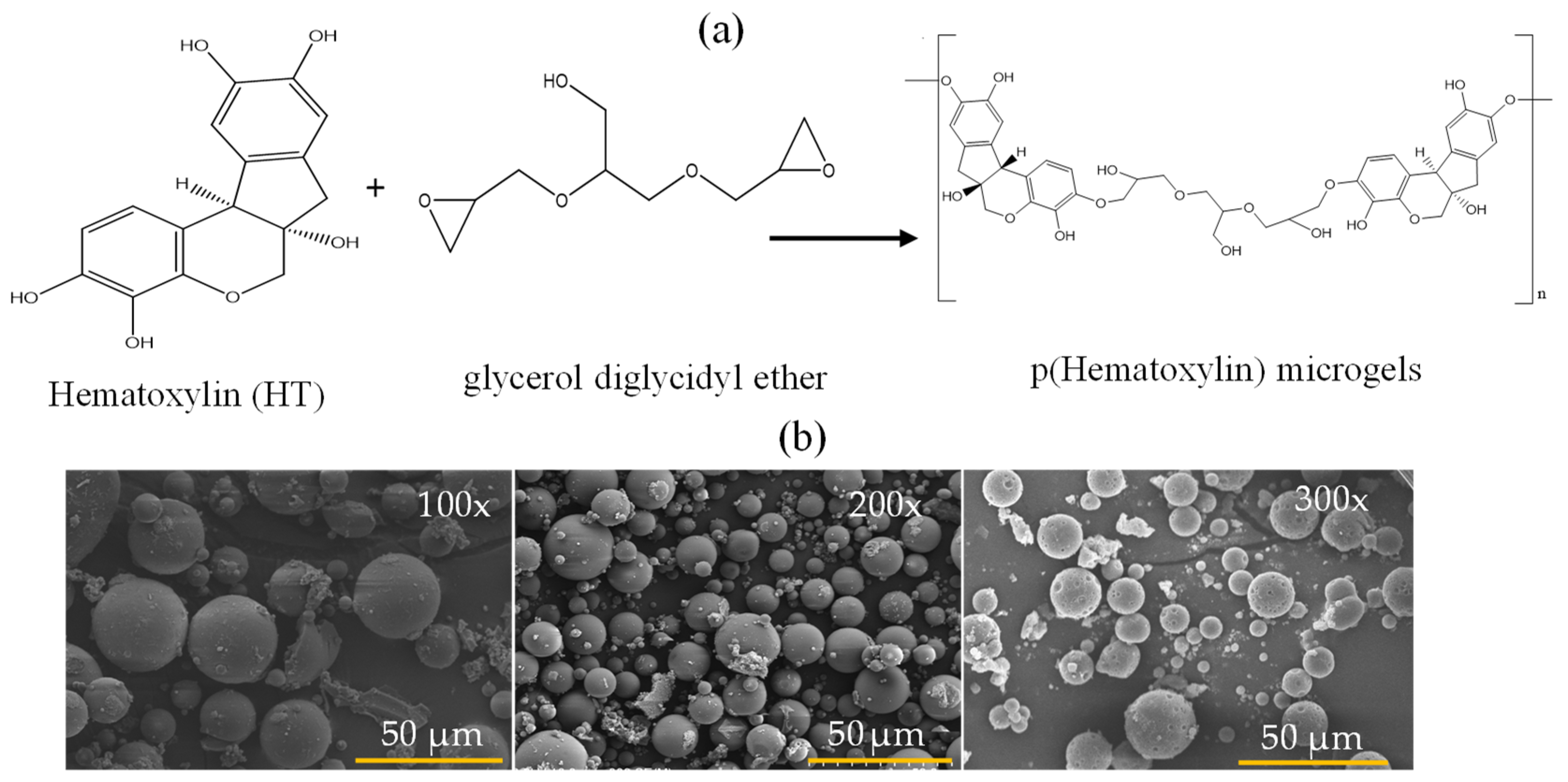 Pharmaceutics 16 00147 g001