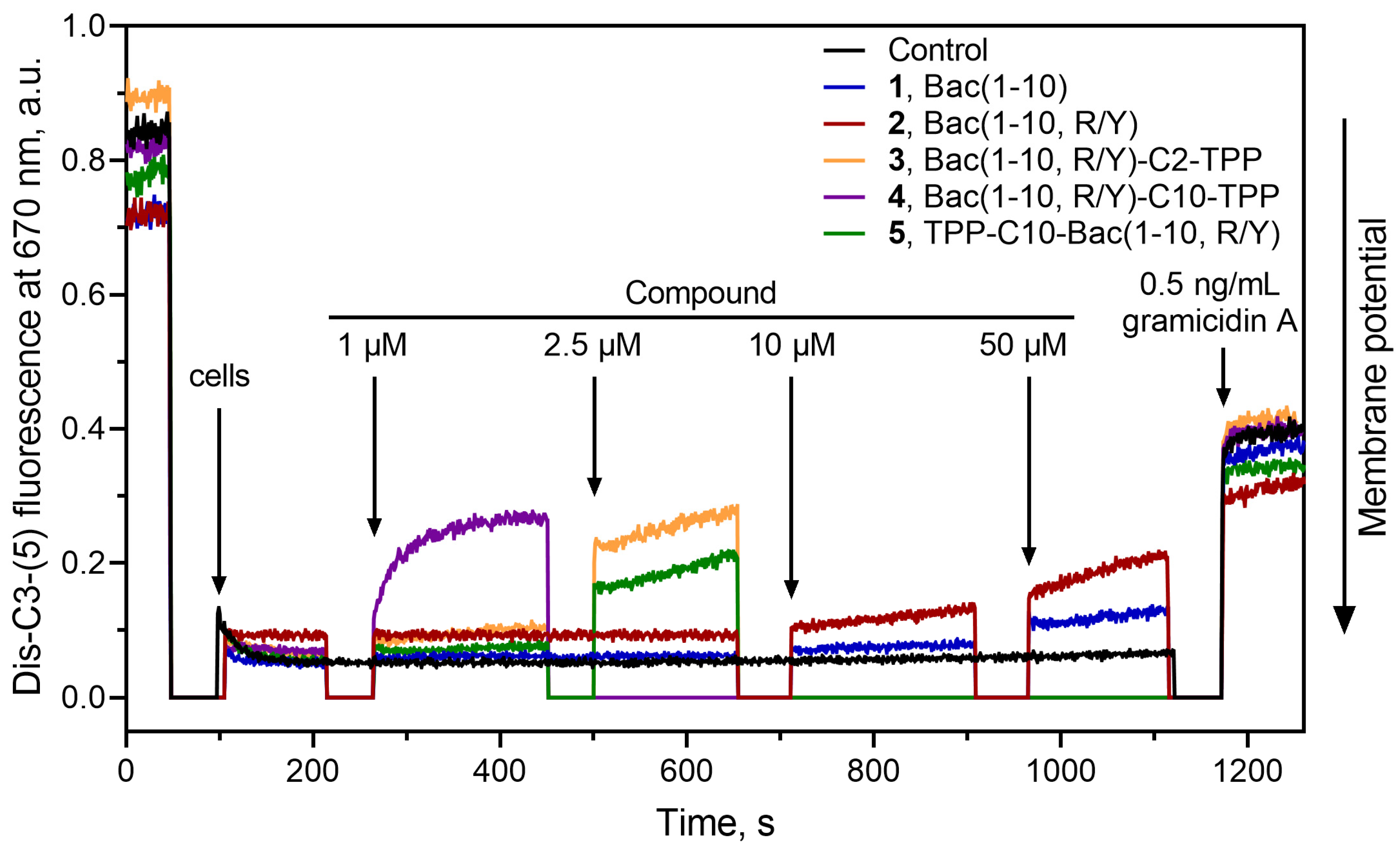 Pharmaceutics 16 00148 g005