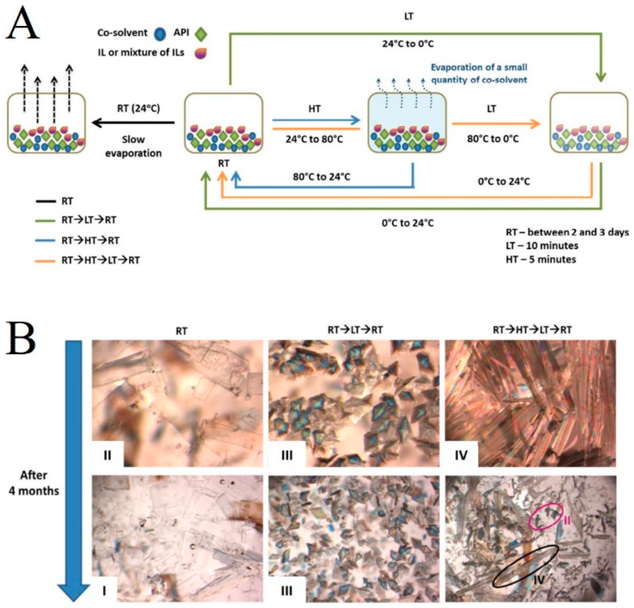 Pharmaceutics 16 00151 g005