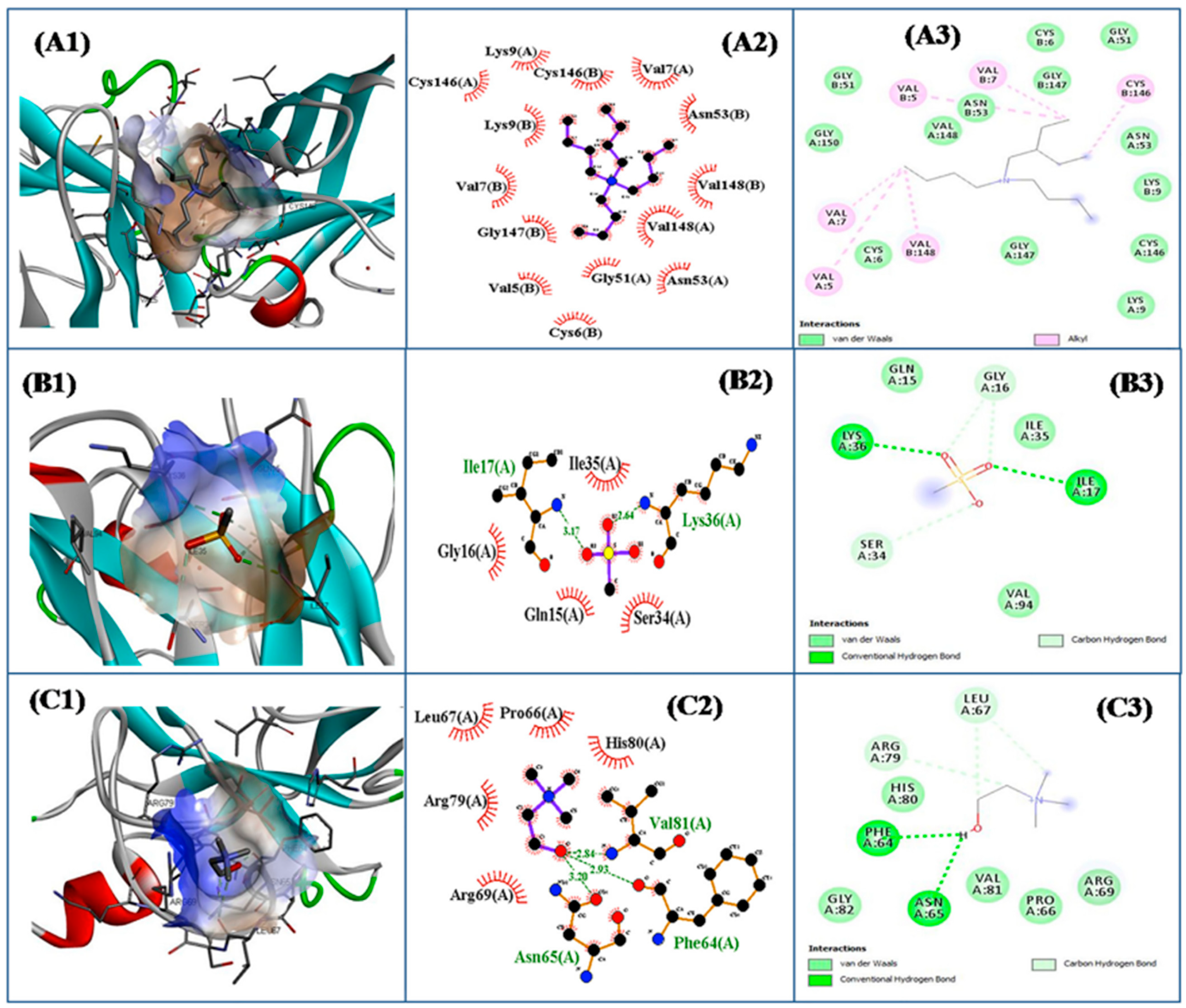 Pharmaceutics 16 00151 g010