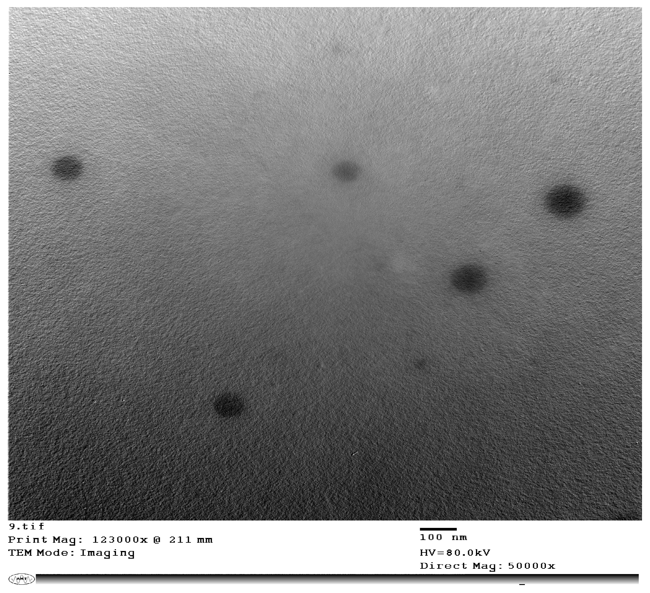 Pharmaceutics 16 00153 g002