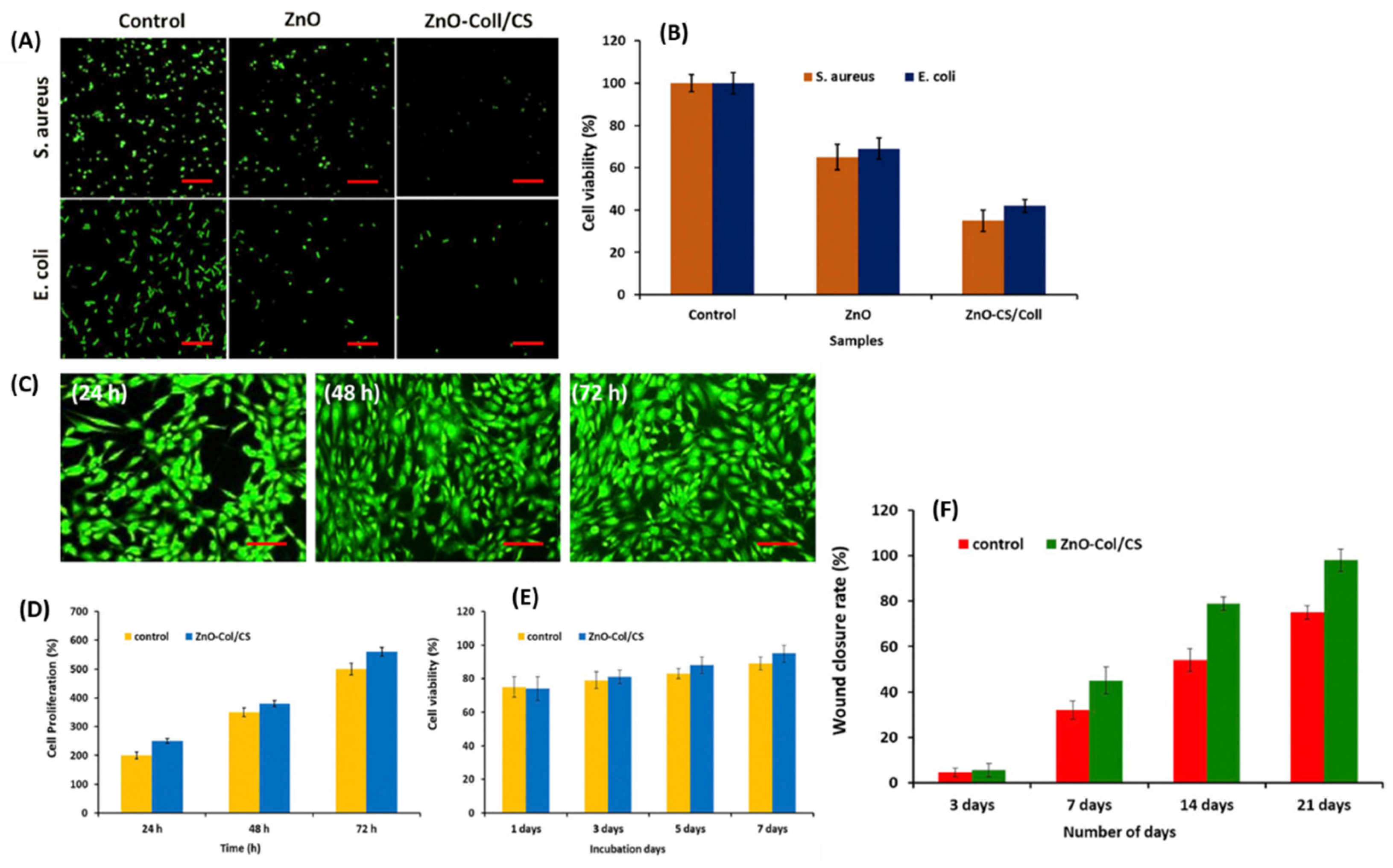 Pharmaceutics 16 00155 g007