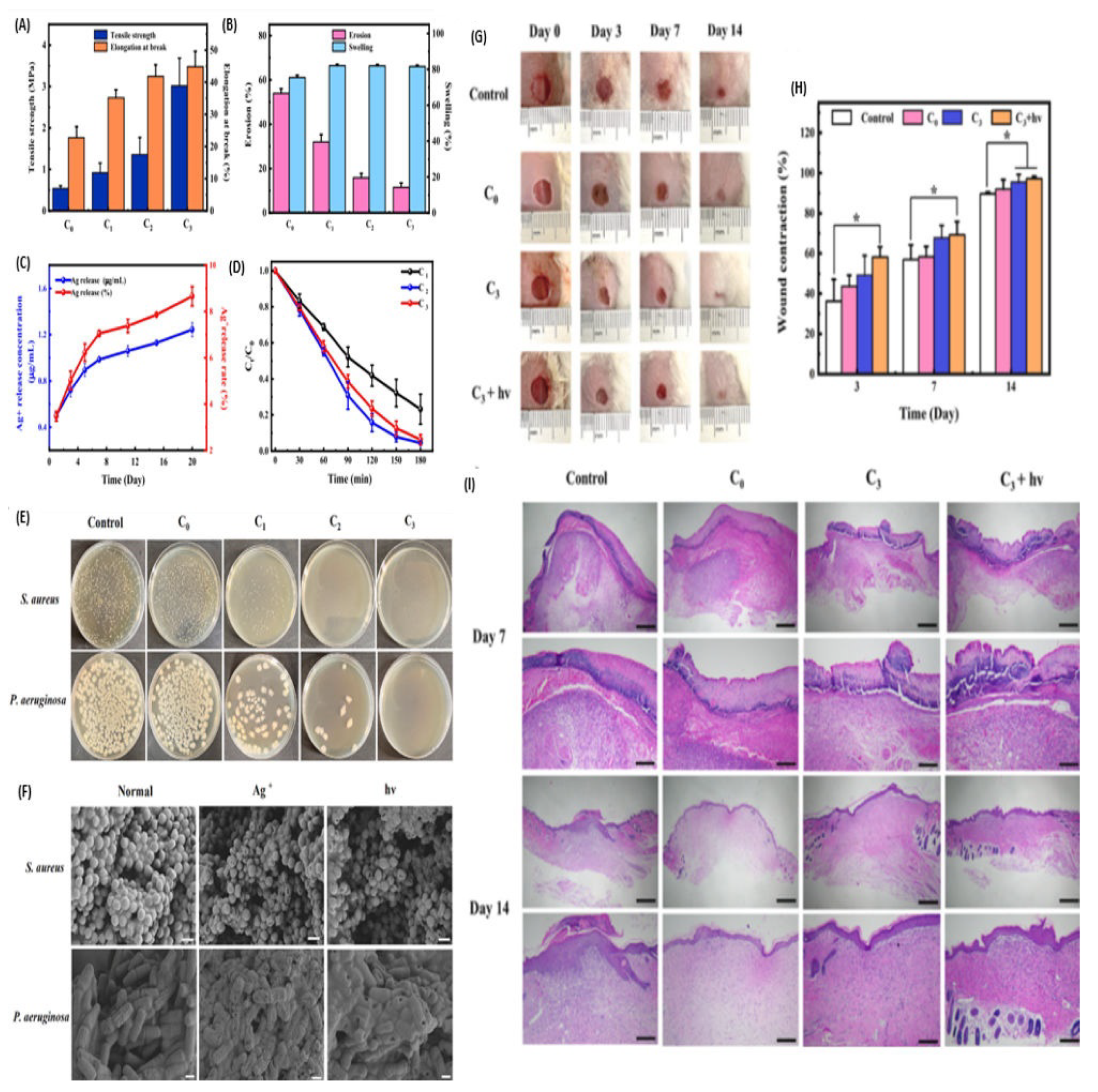 Pharmaceutics 16 00155 g010