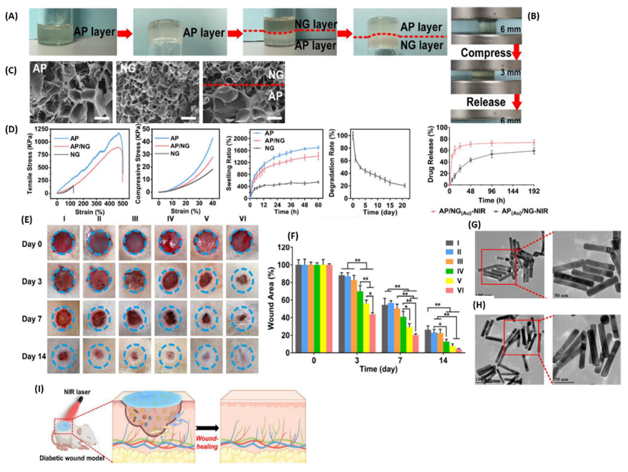Pharmaceutics 16 00155 g011