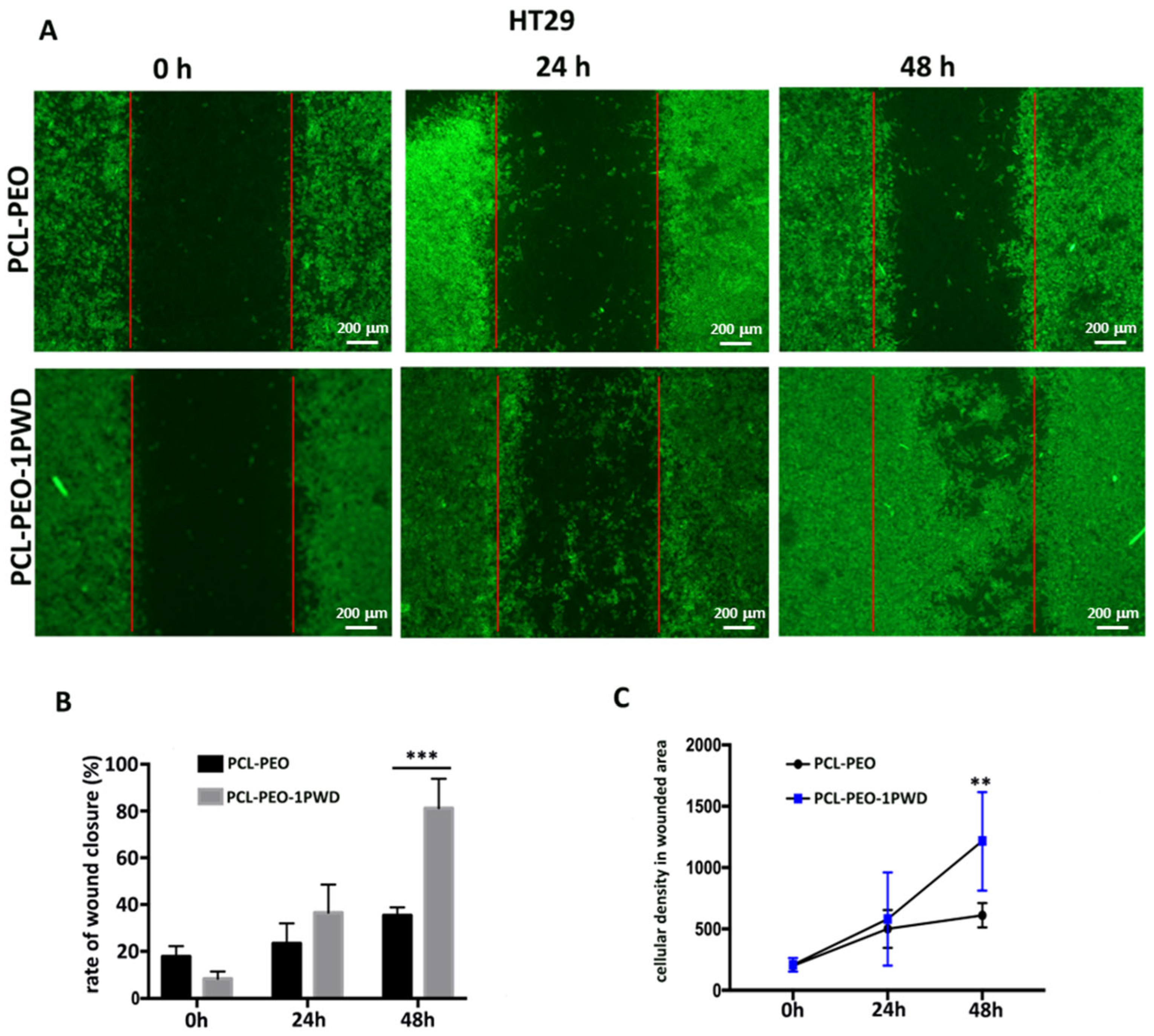 Pharmaceutics 16 00159 g008