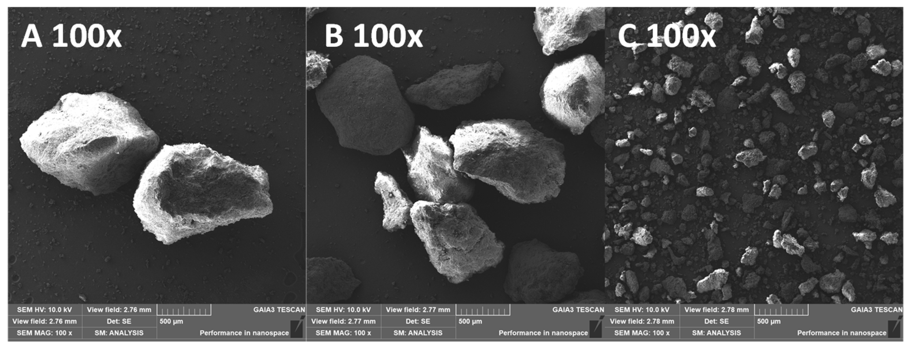 Pharmaceutics 16 00165 g001