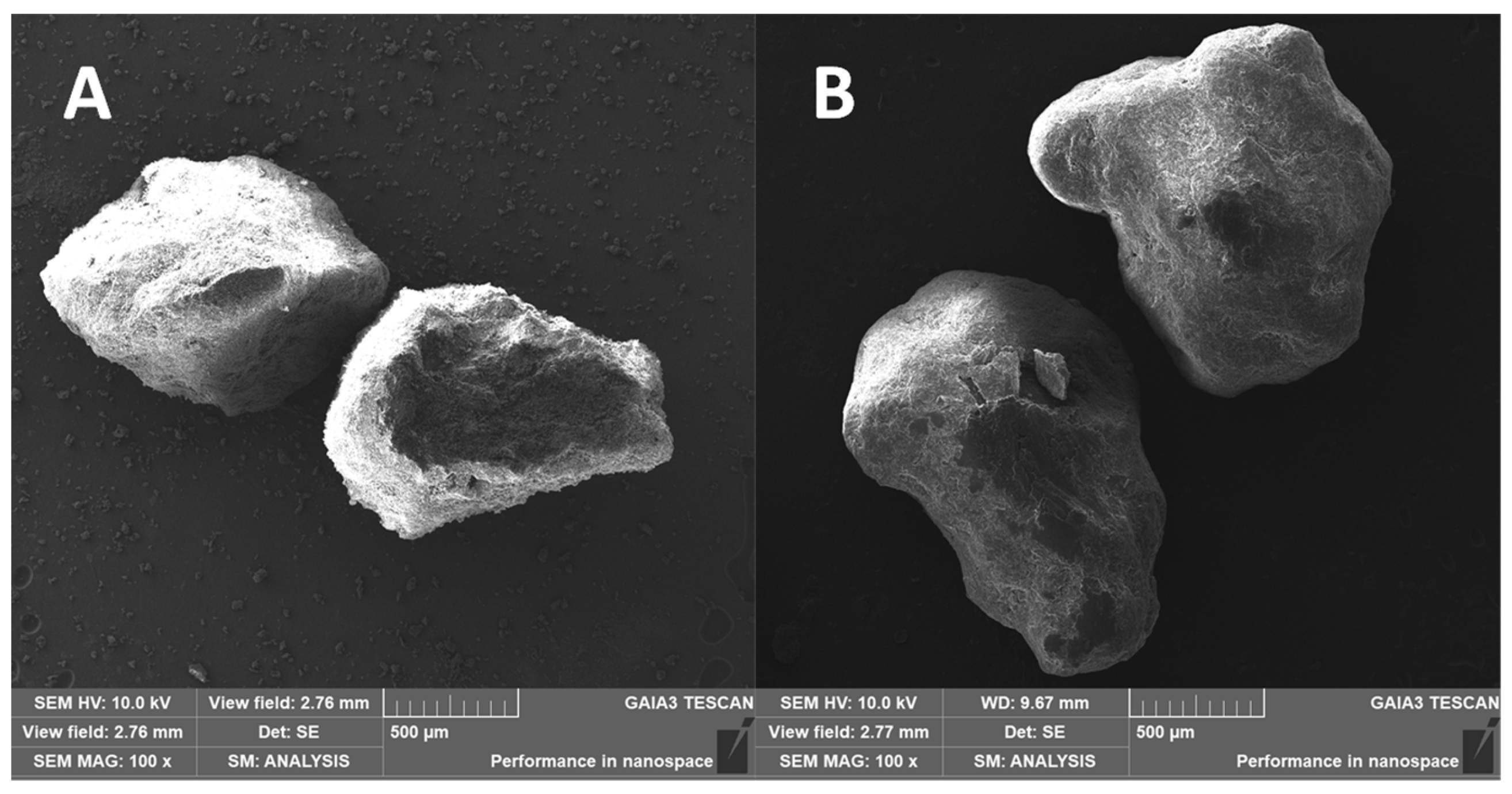 Pharmaceutics 16 00165 g012