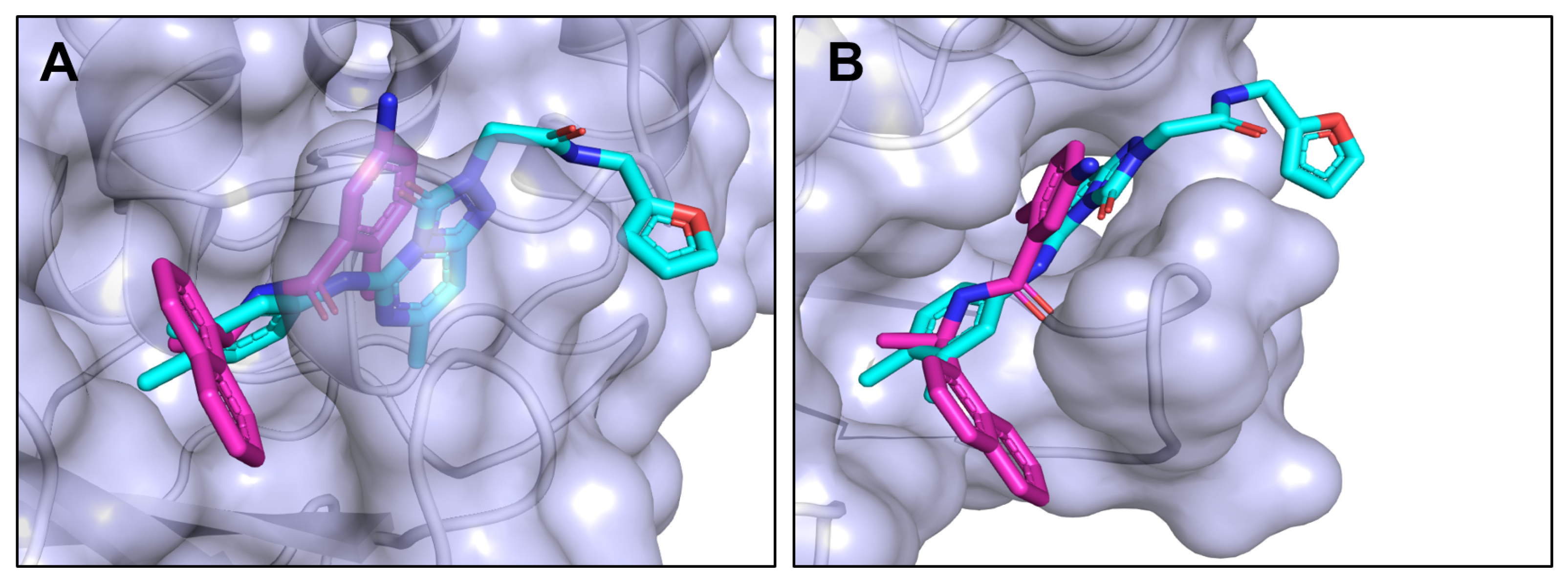 Pharmaceutics 16 00169 g007
