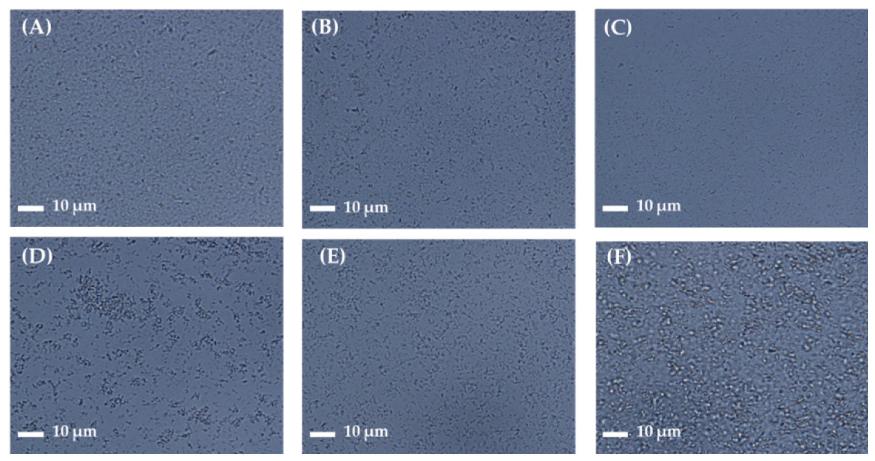 Pharmaceutics 16 00171 g003