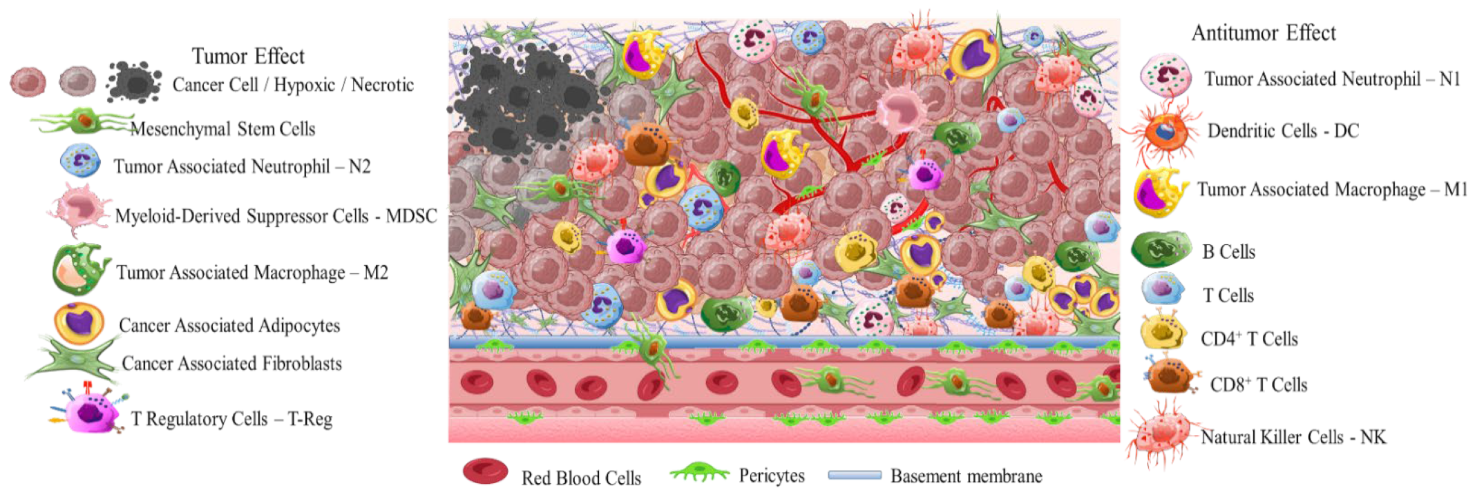 Pharmaceutics 16 00179 sch001