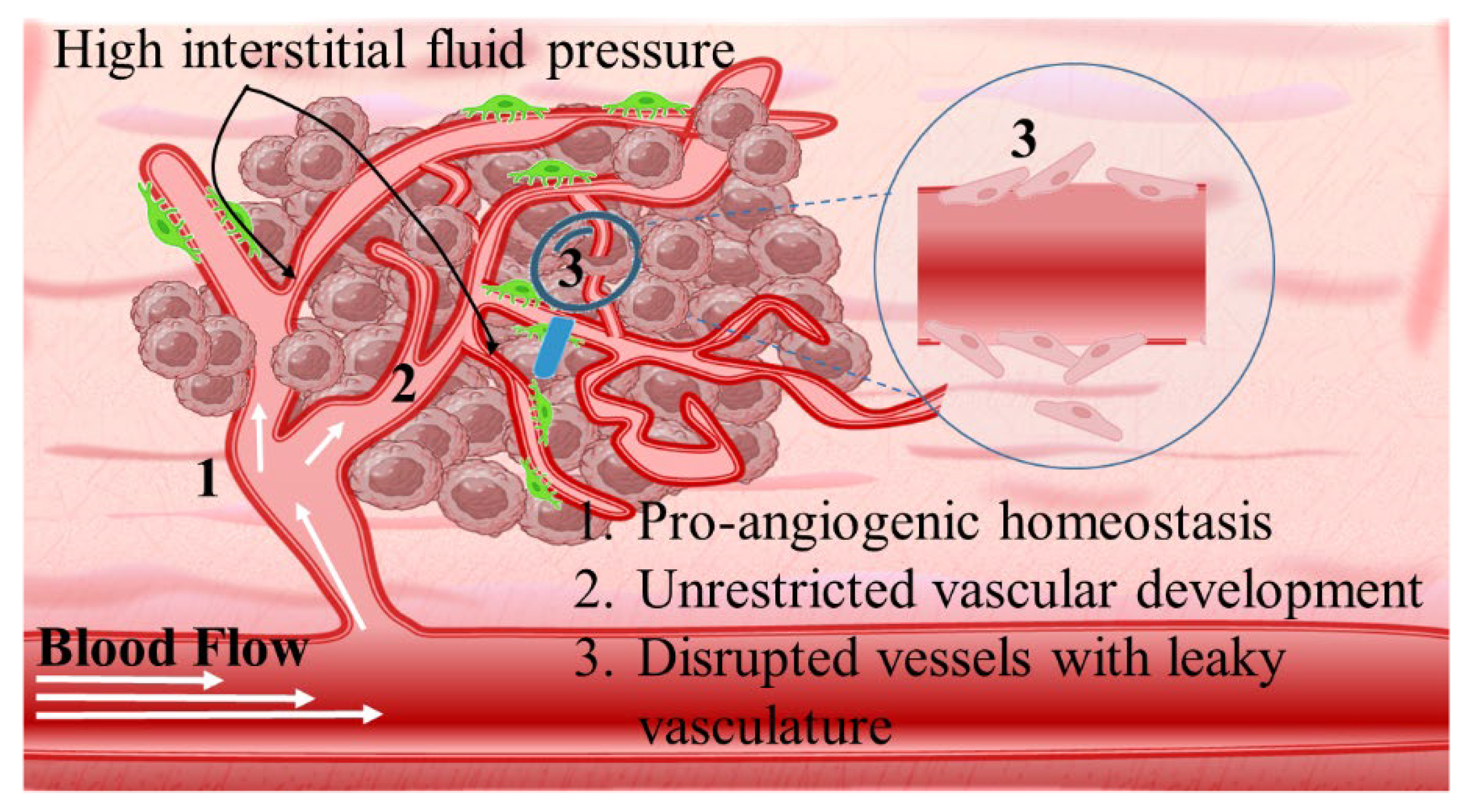 Pharmaceutics 16 00179 sch004