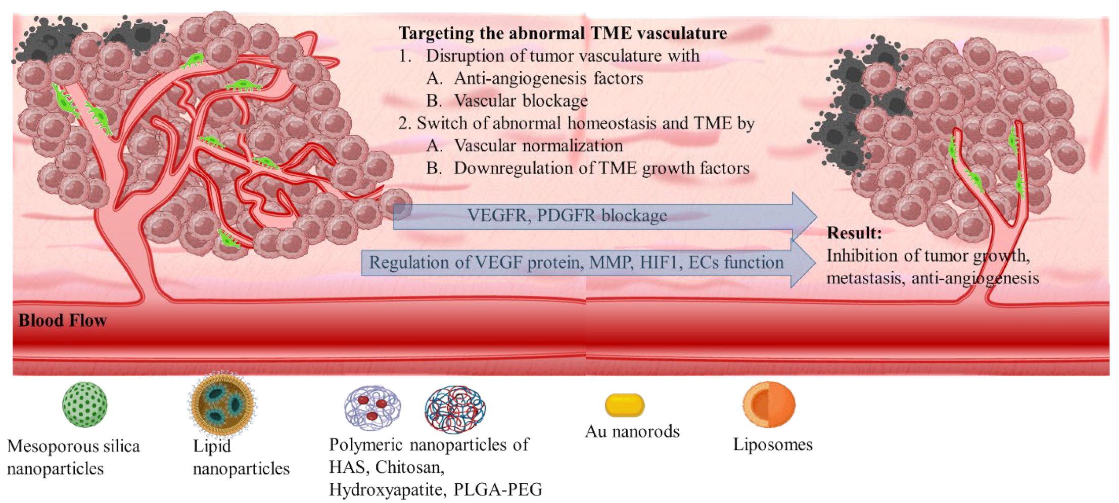 Pharmaceutics 16 00179 sch005