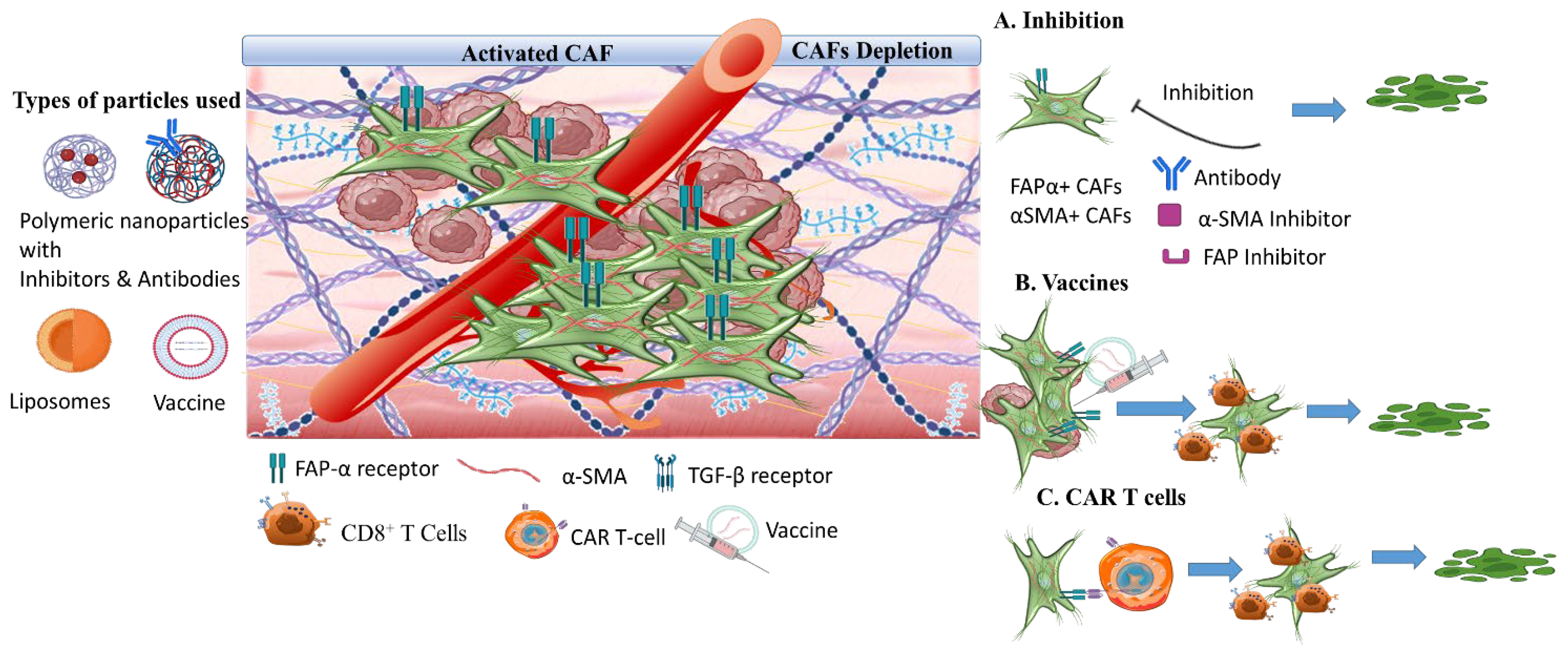 Pharmaceutics 16 00179 sch007