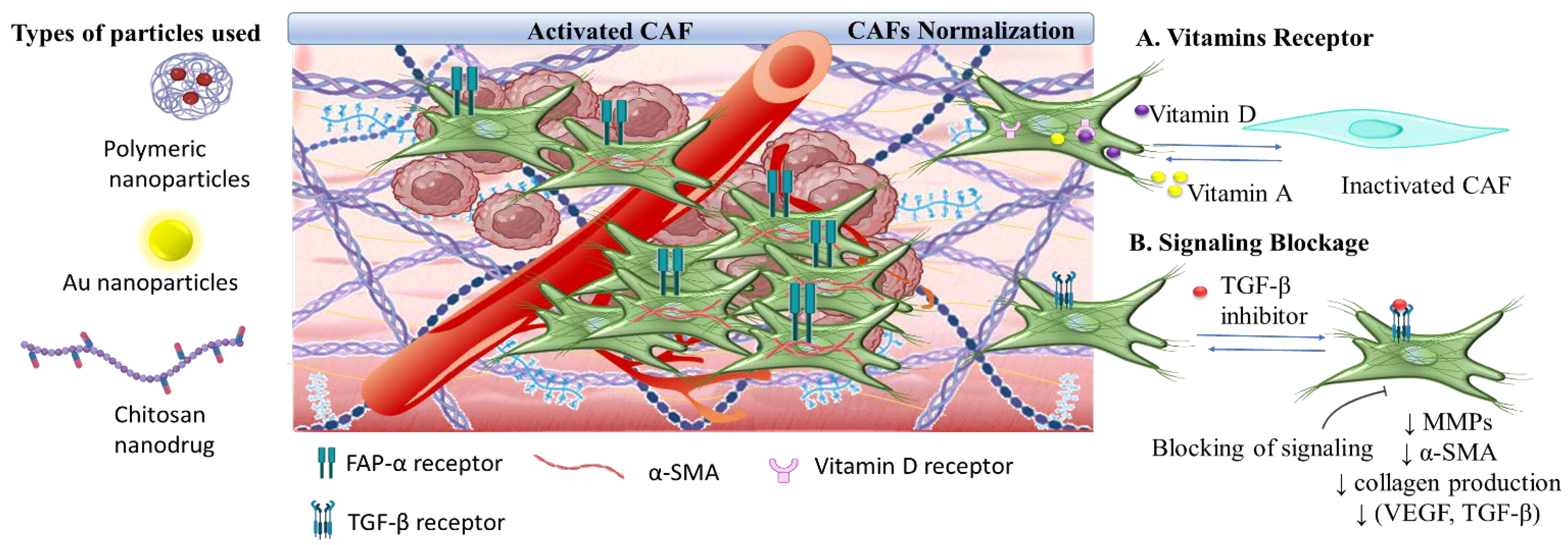 Pharmaceutics 16 00179 sch008