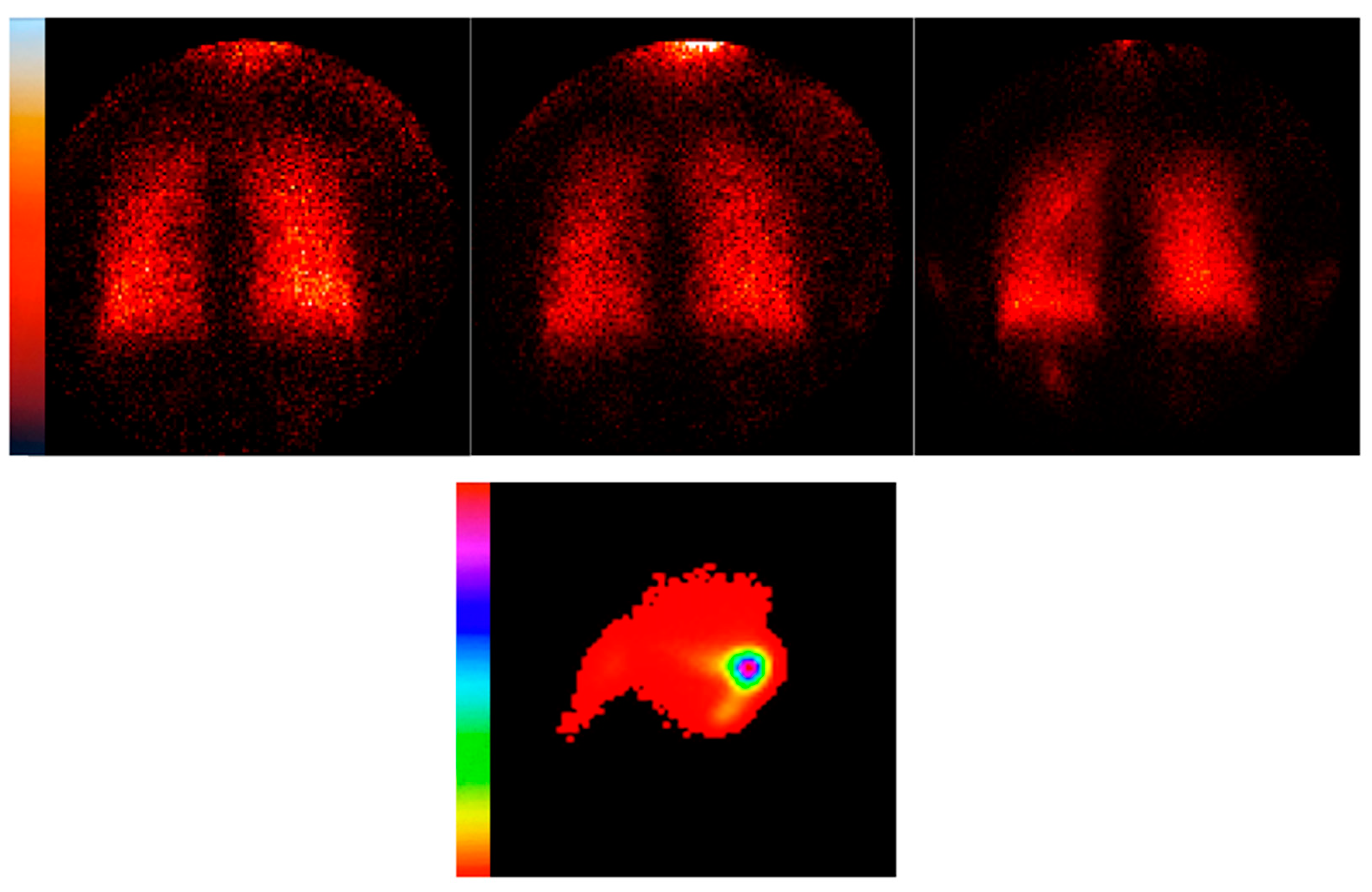 Pharmaceutics 16 00182 g002