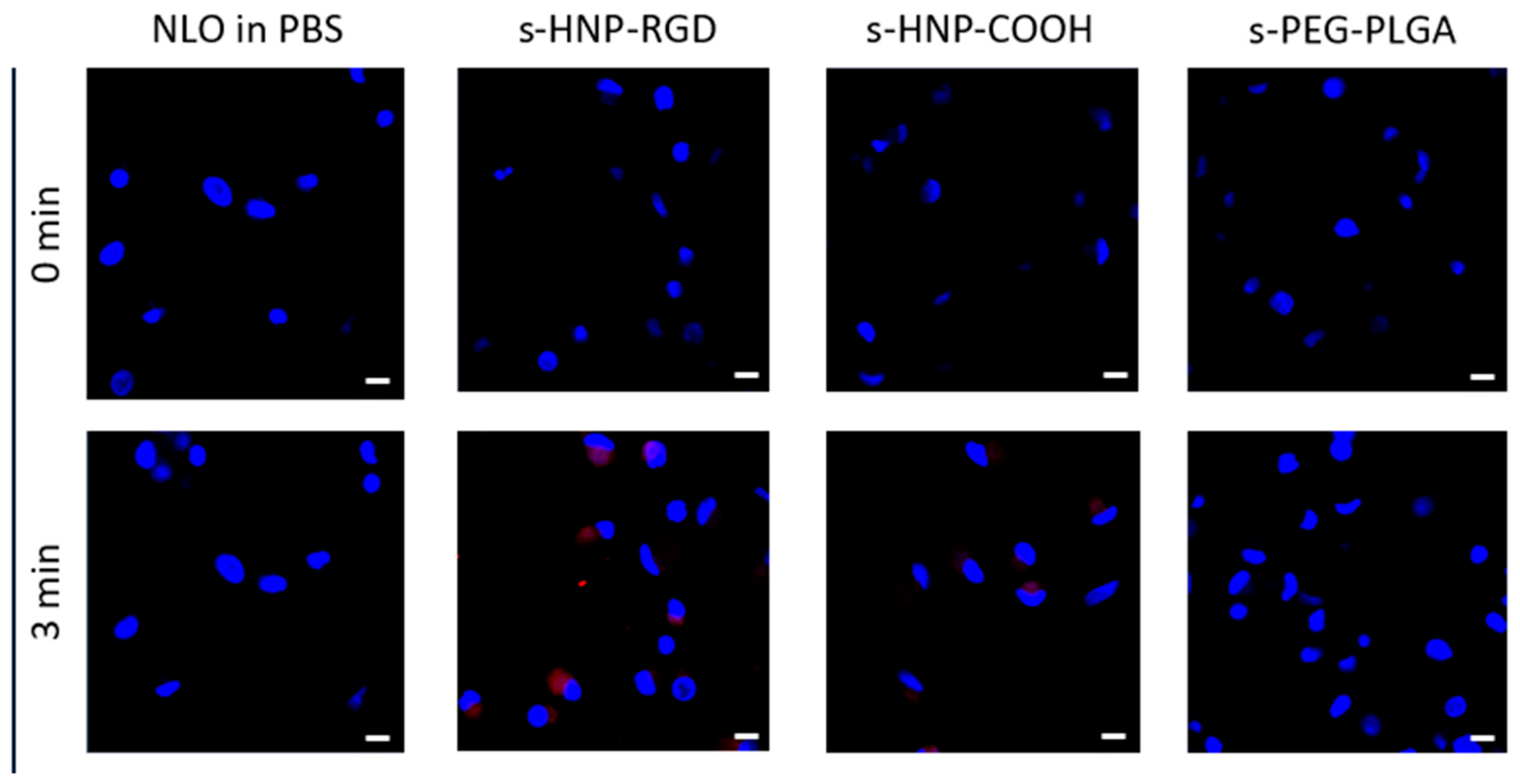 Pharmaceutics 16 00187 g009