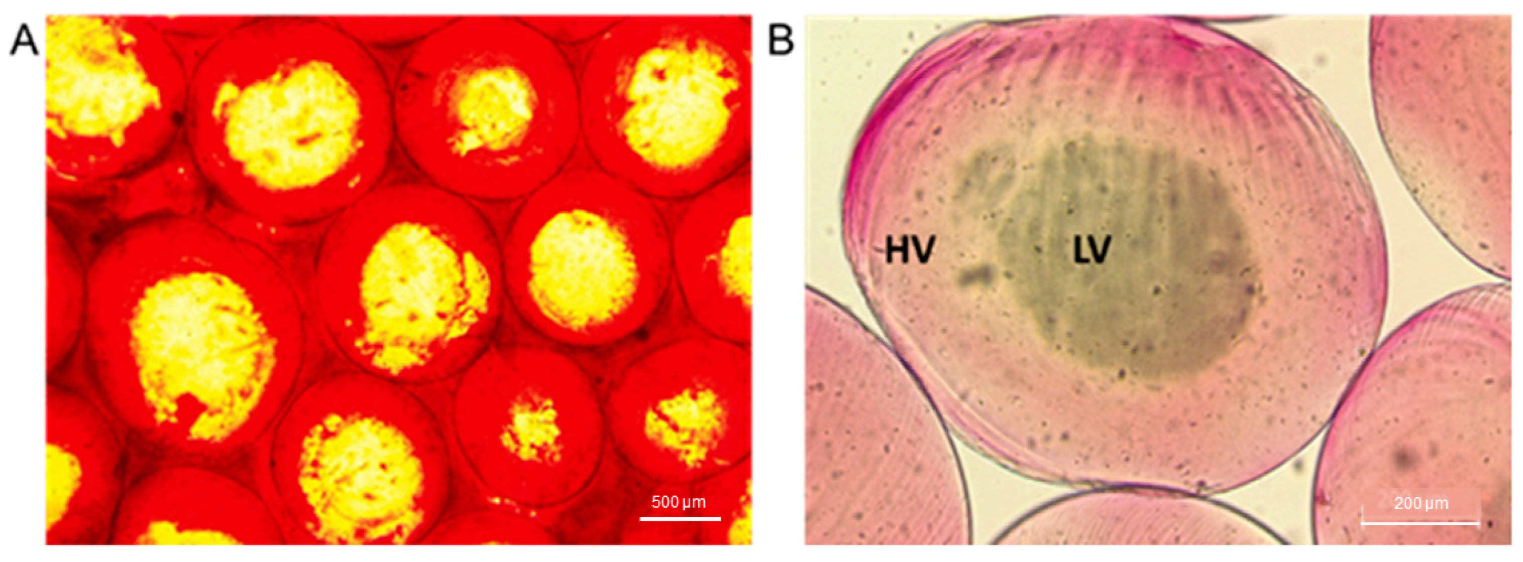 Pharmaceutics 16 00193 g003
