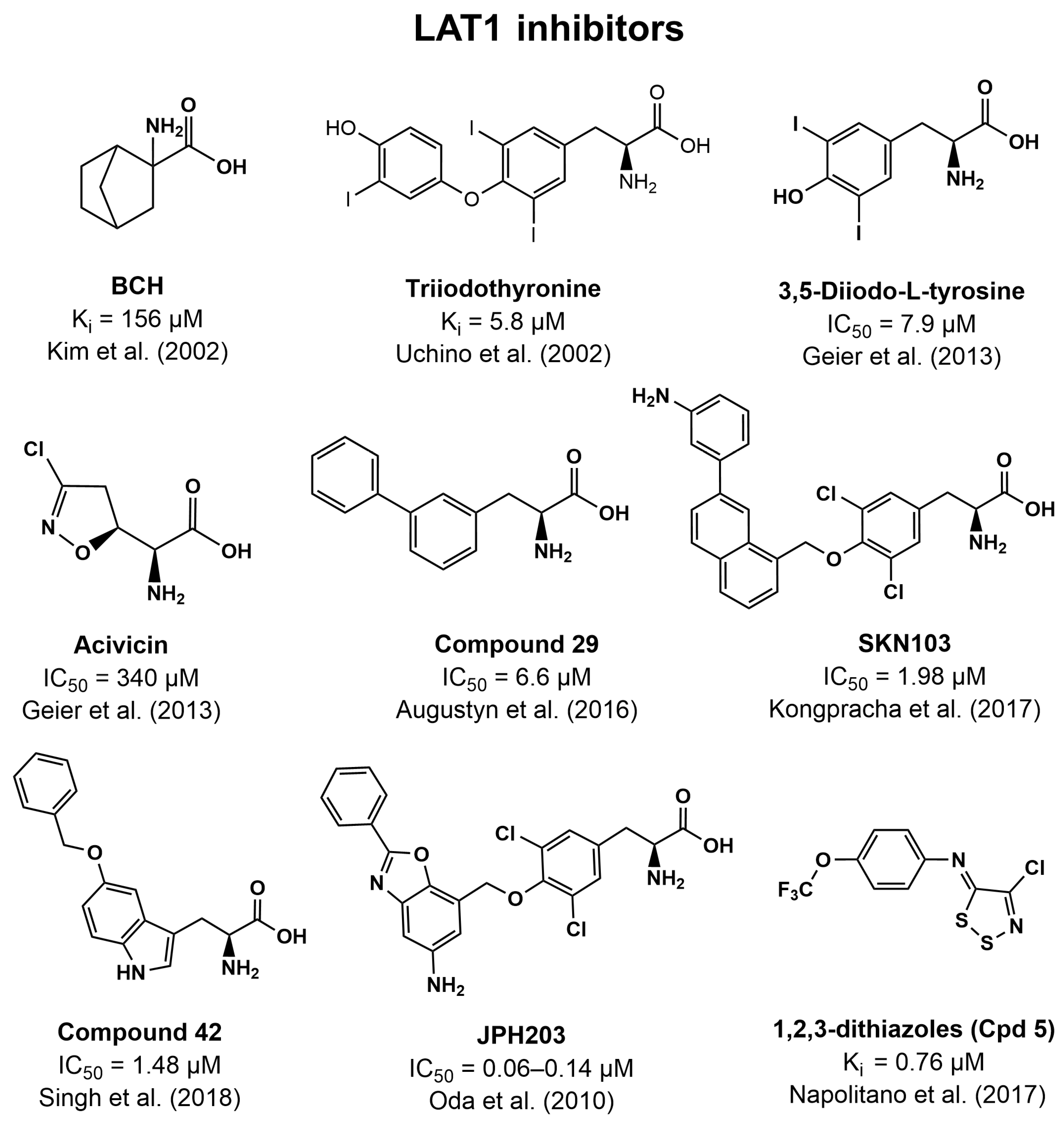 Pharmaceutics 16 00197 g003