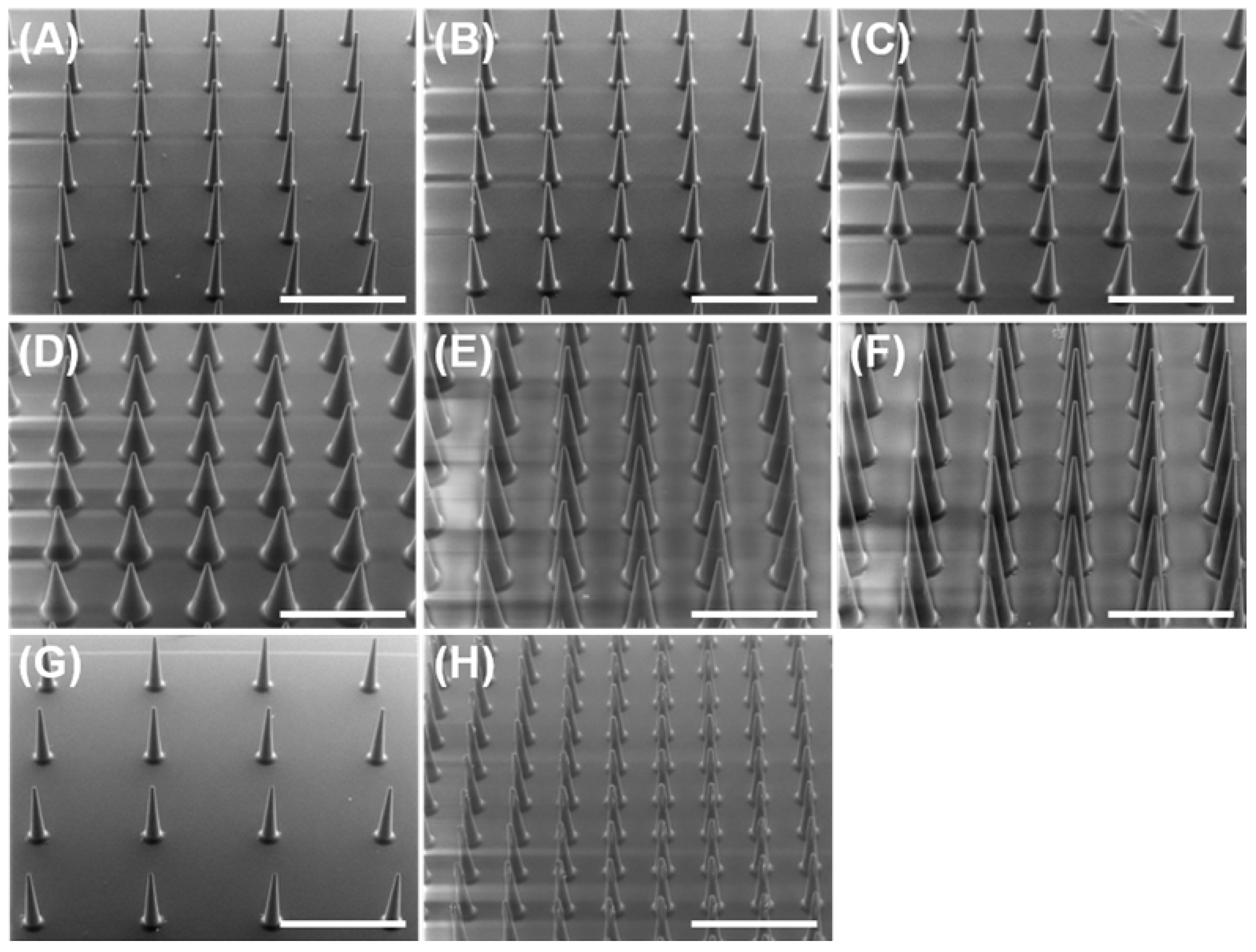 Pharmaceutics 16 00200 g001