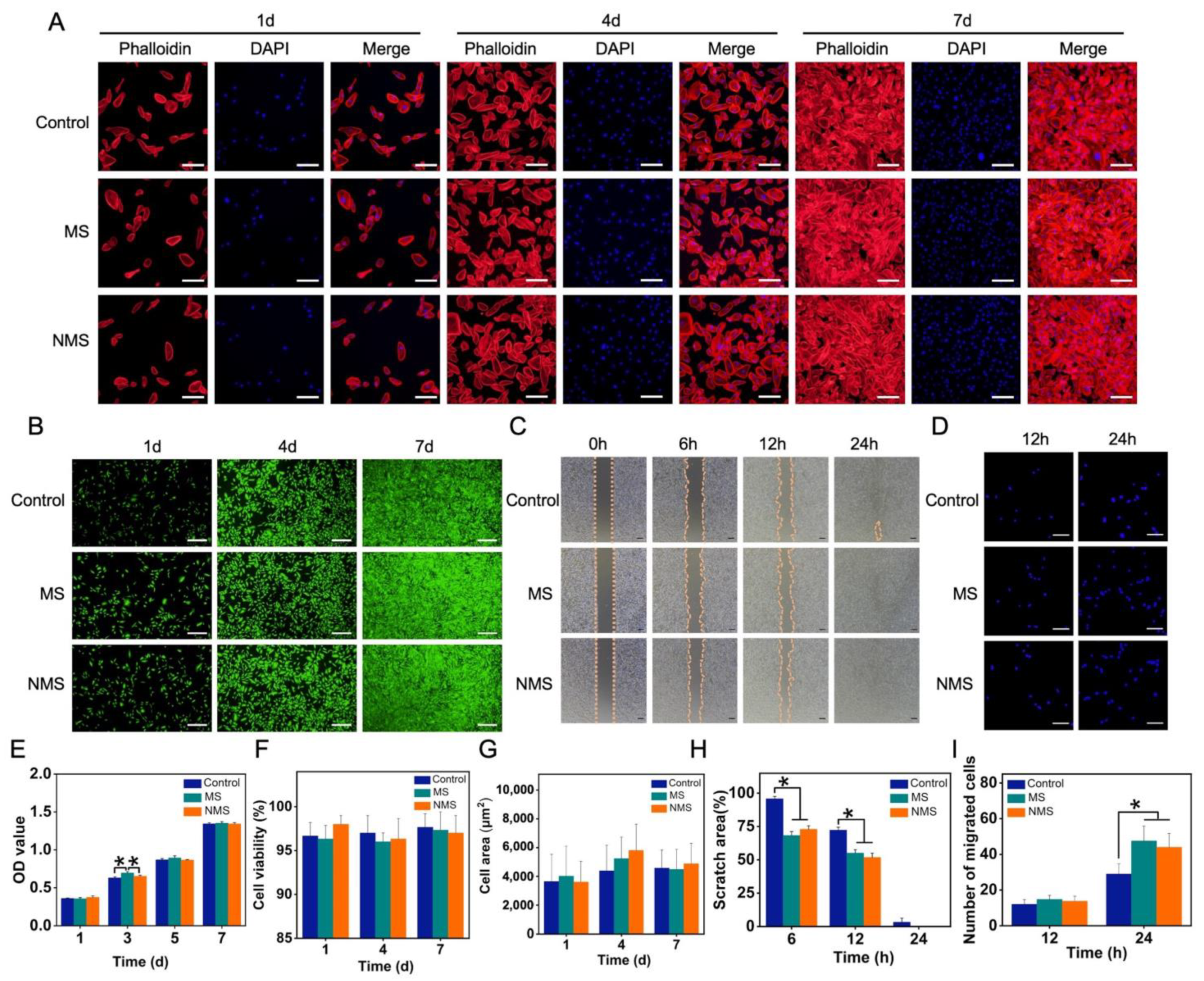 Pharmaceutics 16 00204 g003