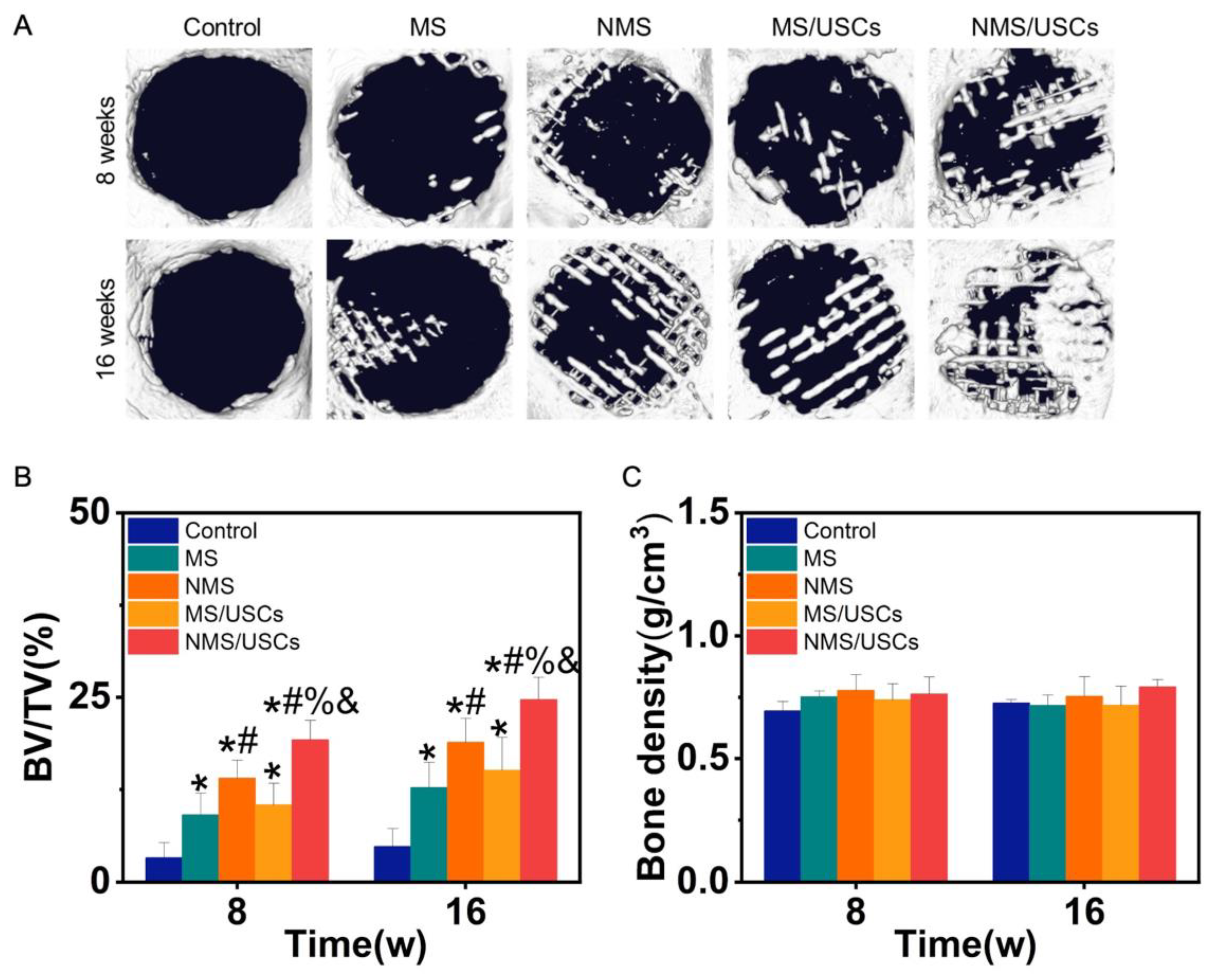 Pharmaceutics 16 00204 g006