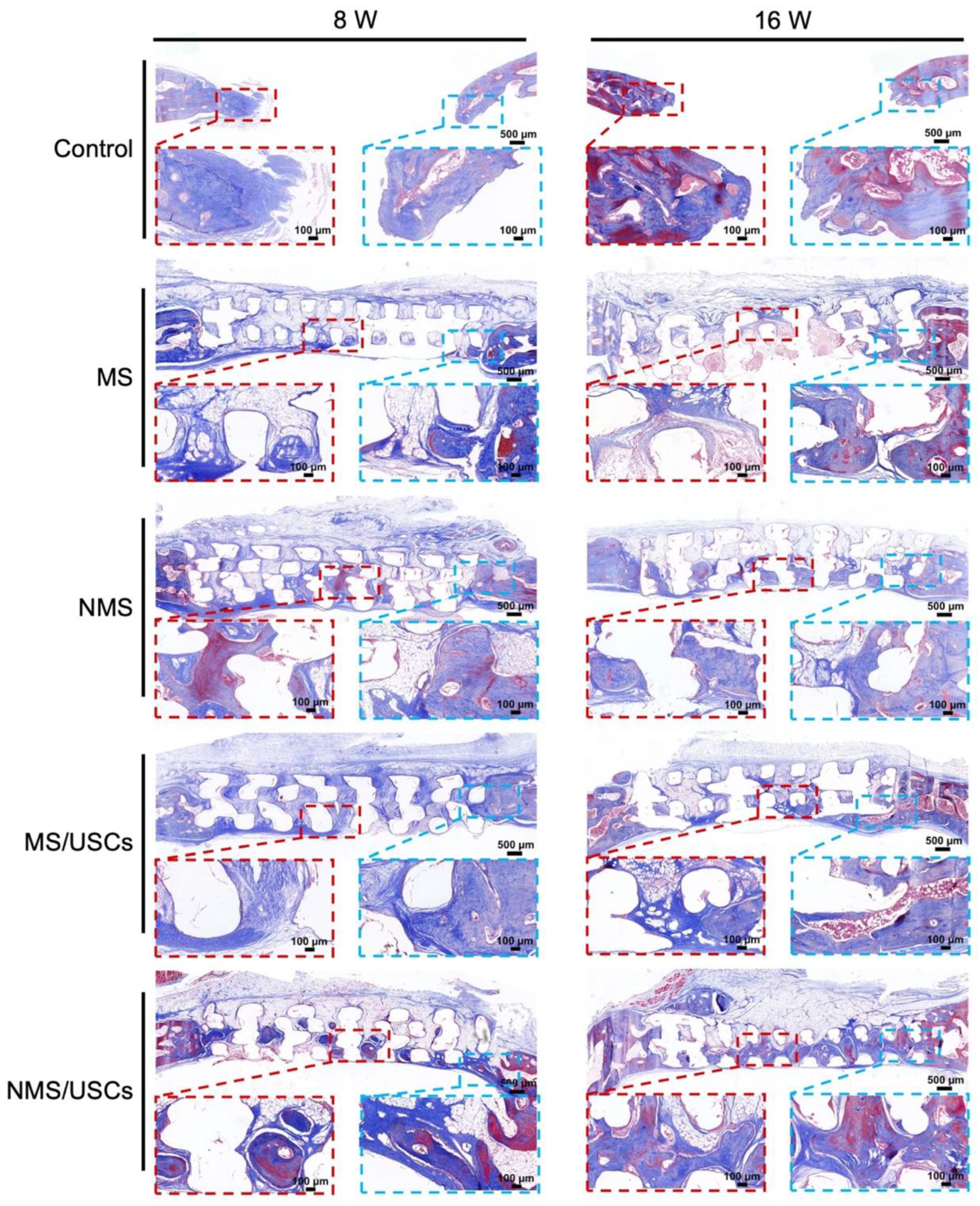 Pharmaceutics 16 00204 g008