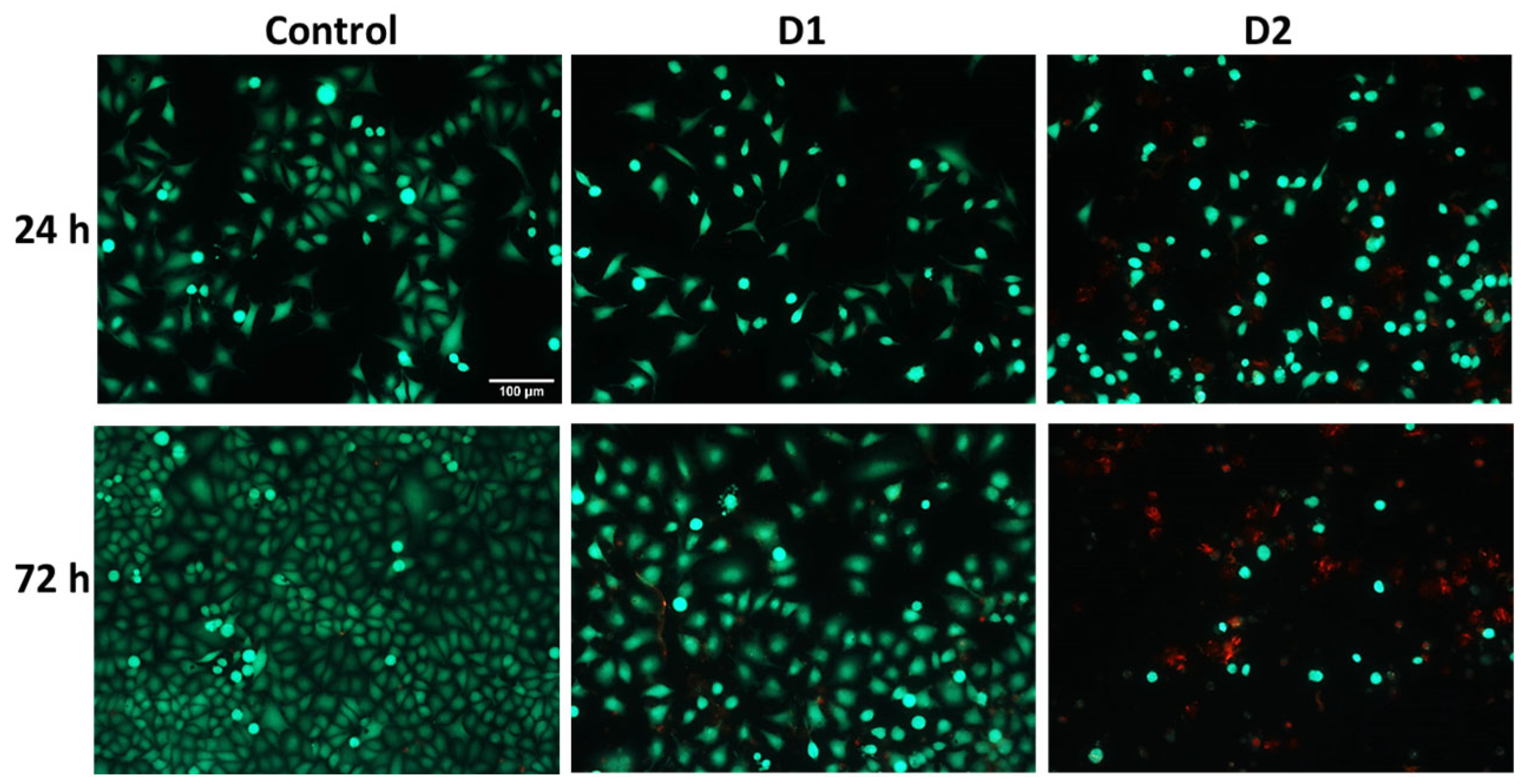 Pharmaceutics 16 00205 g005