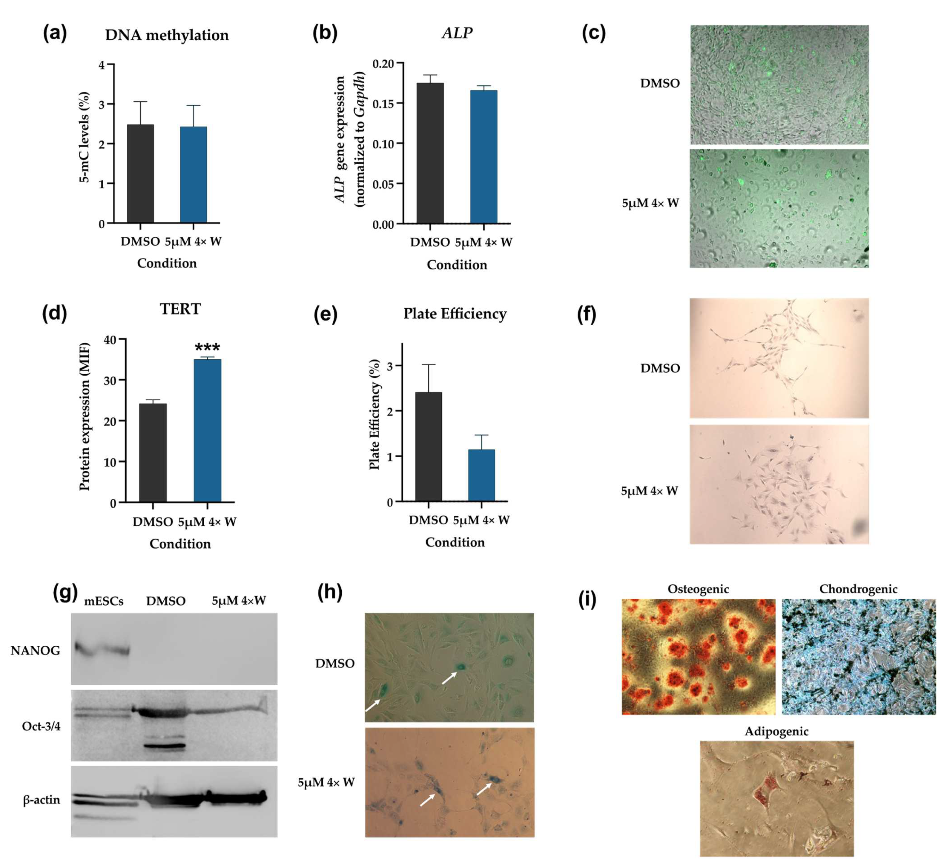 Pharmaceutics 16 00207 g009