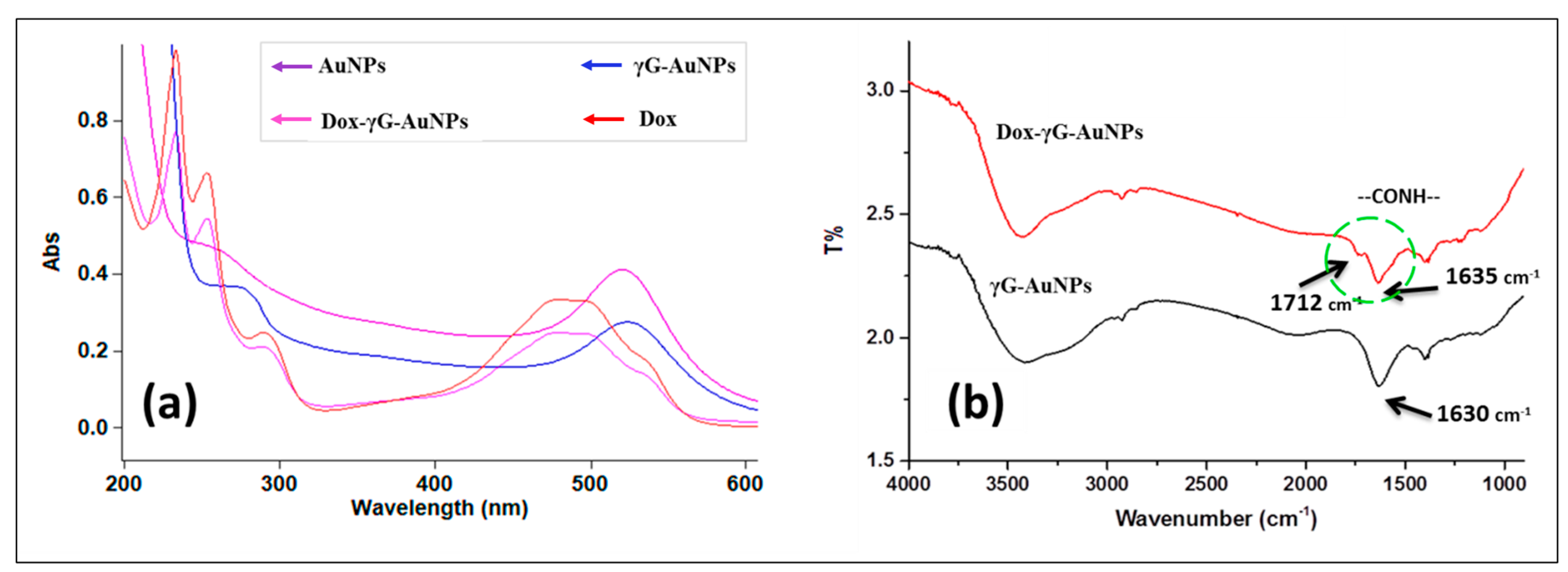 Pharmaceutics 16 00208 g001