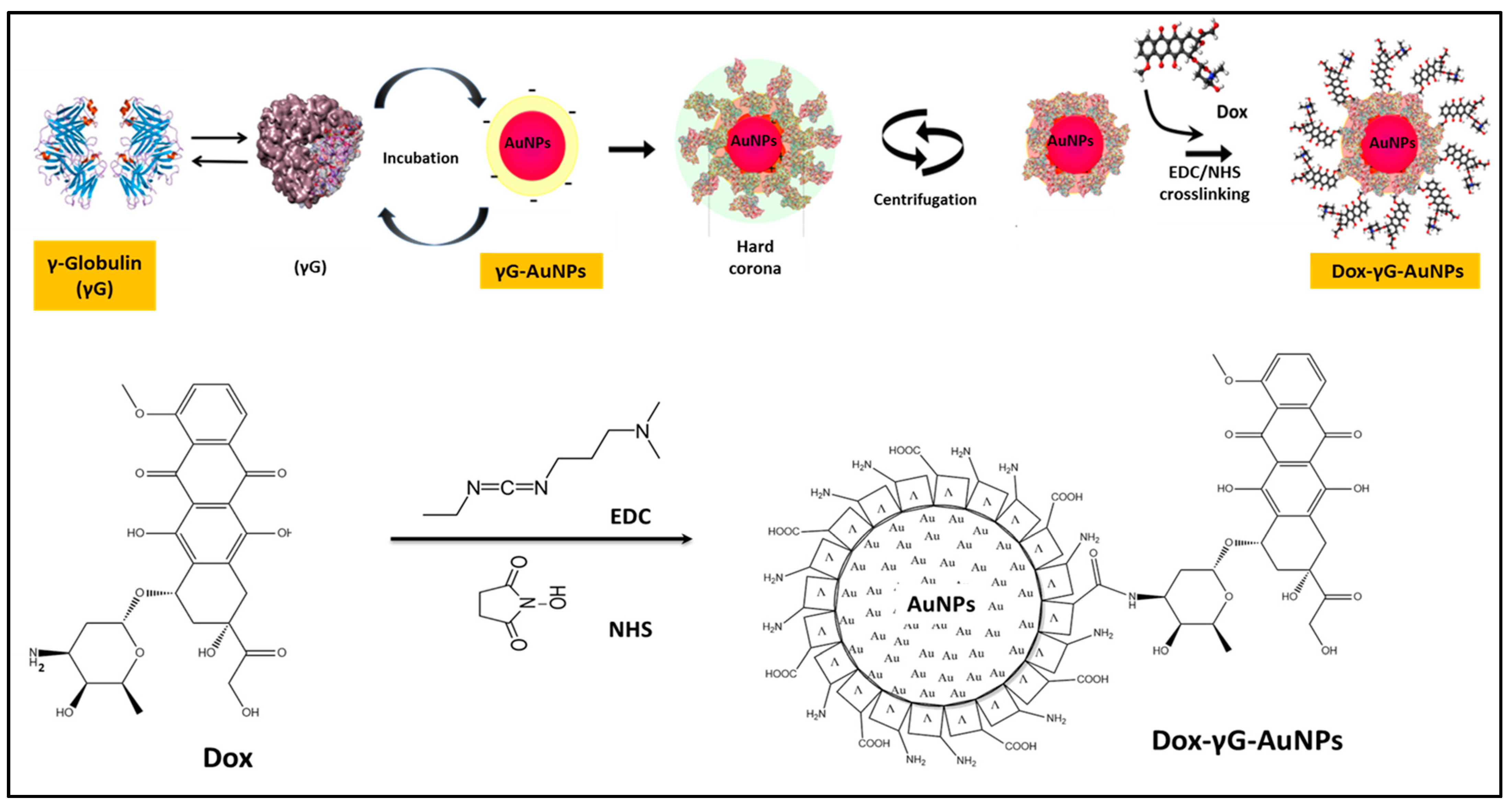 Pharmaceutics 16 00208 sch002