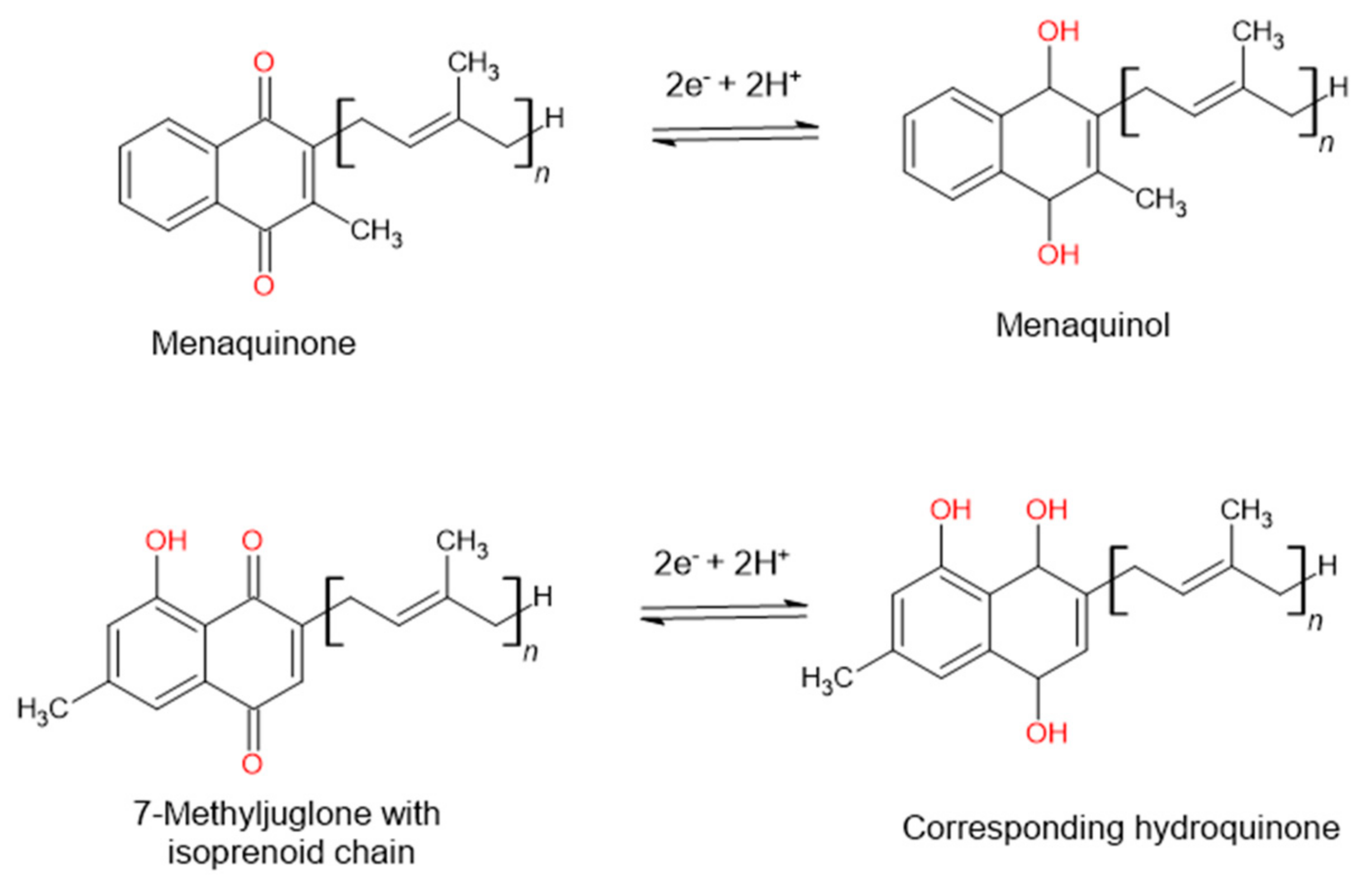 Pharmaceutics 16 00216 g002