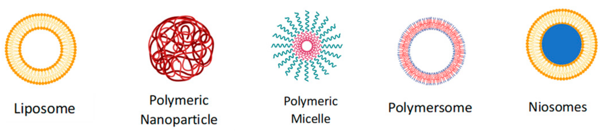 Pharmaceutics 16 00216 g003